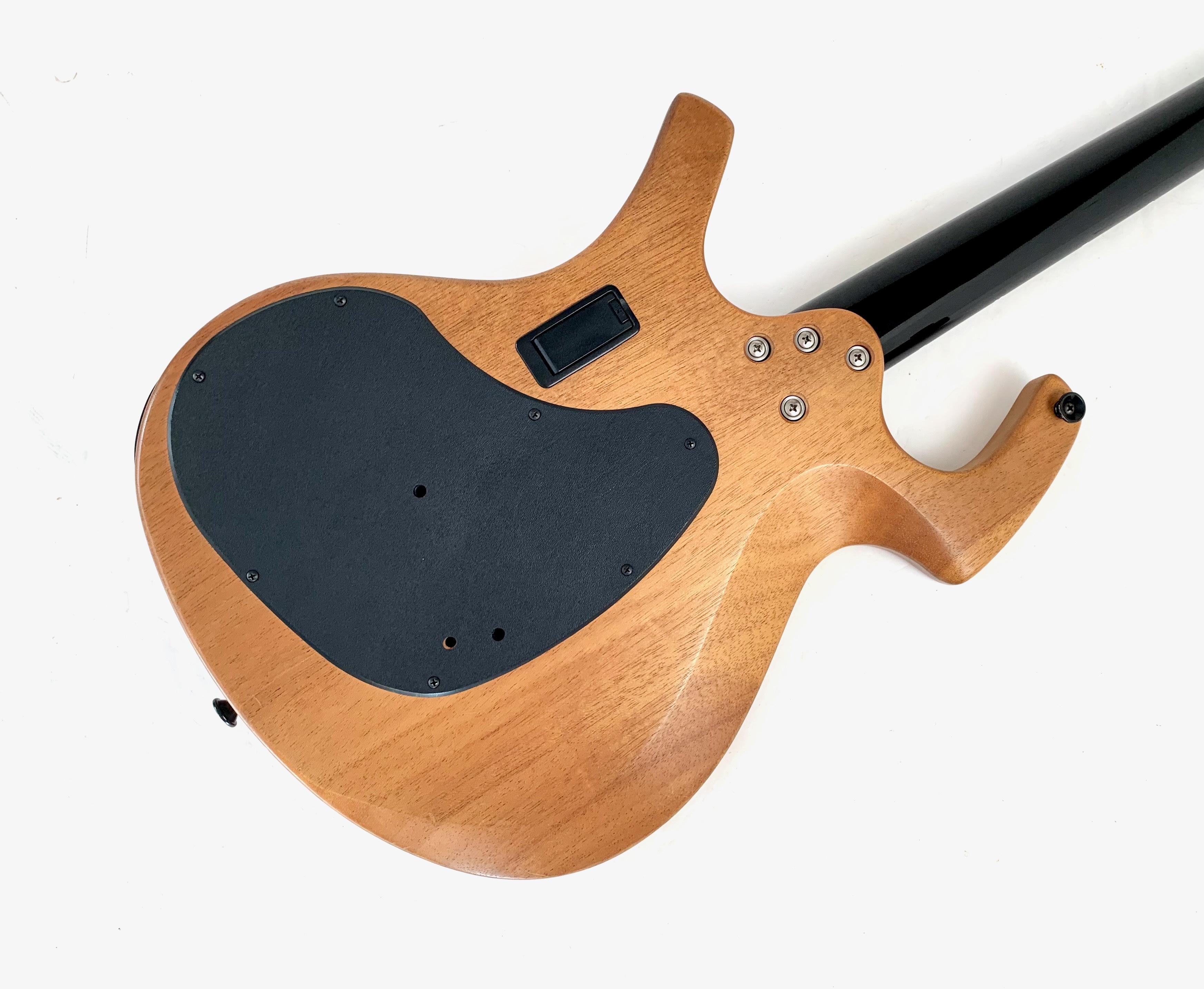 Parker Guitars NiteFly M (89476)