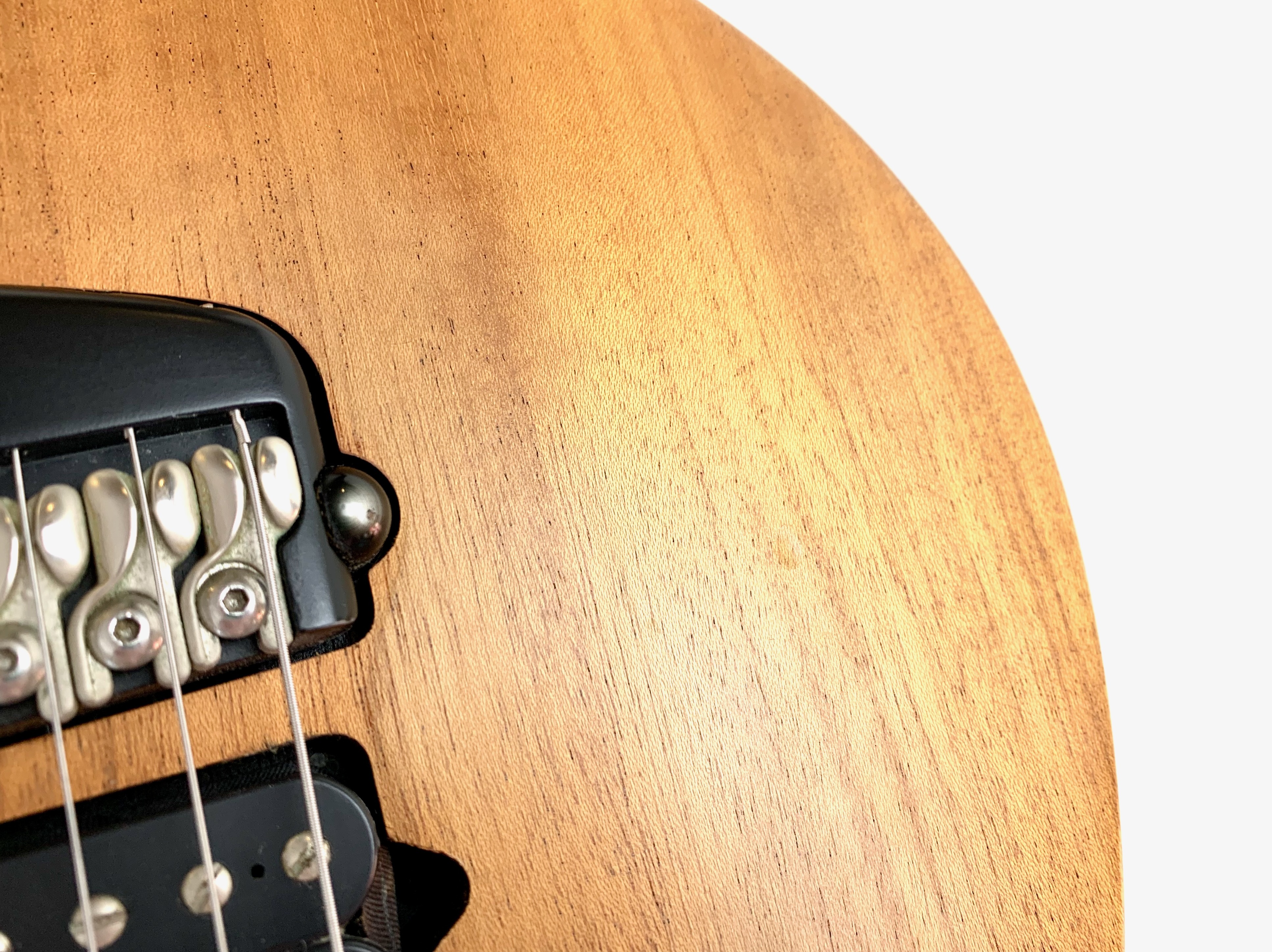 Parker Guitars NiteFly M (52364)