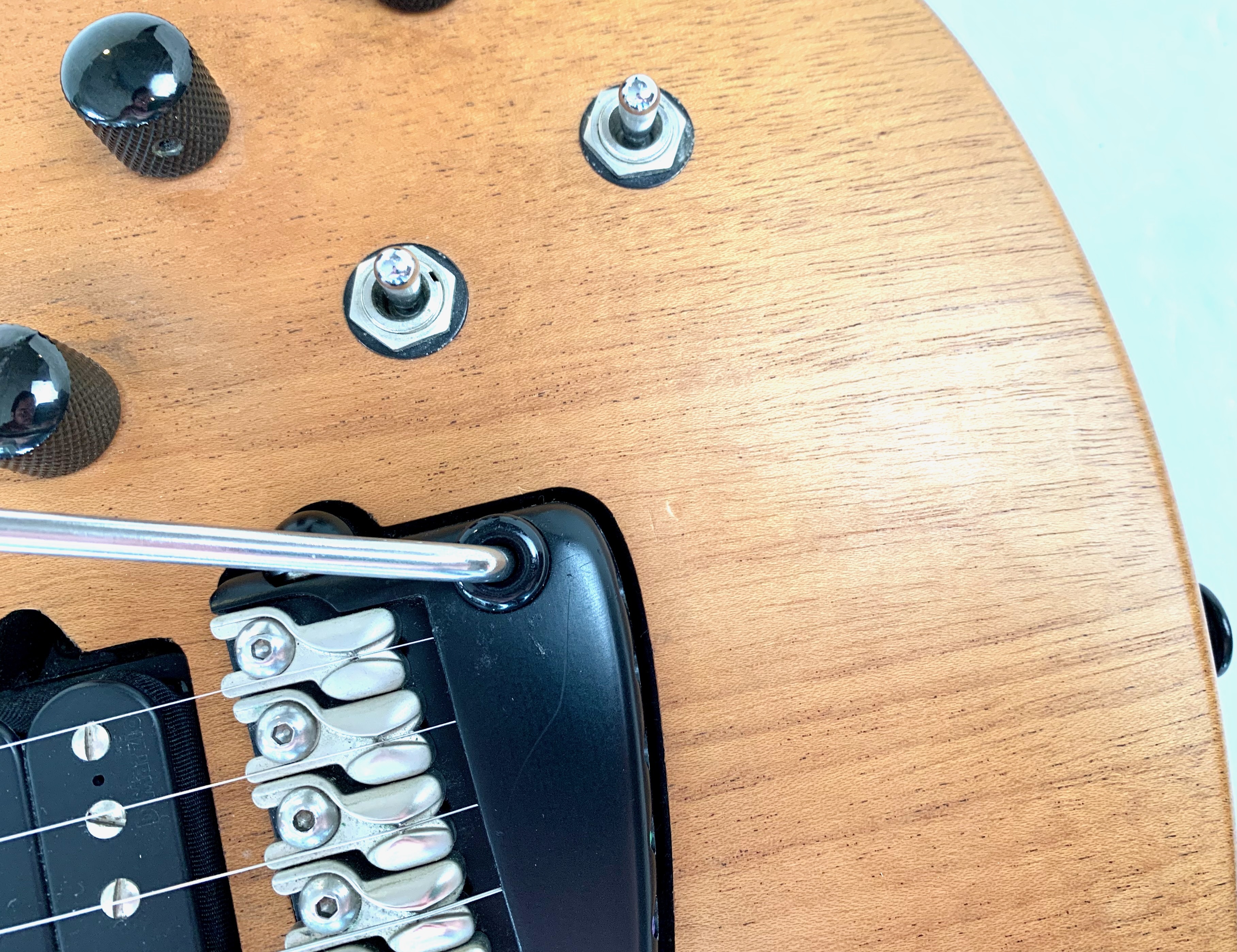 Parker Guitars NiteFly M (65032)