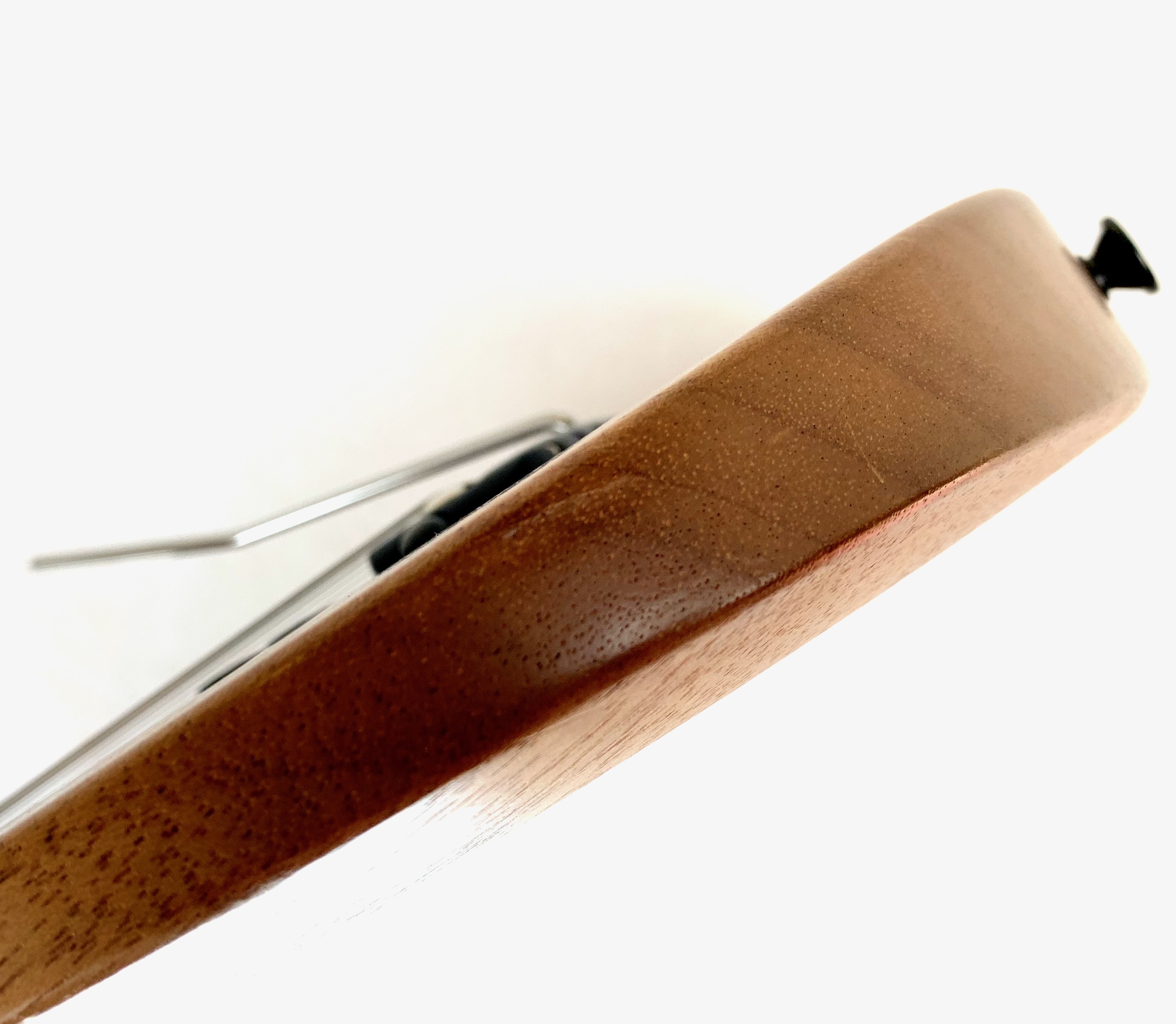 Parker Guitars NiteFly M (44407)