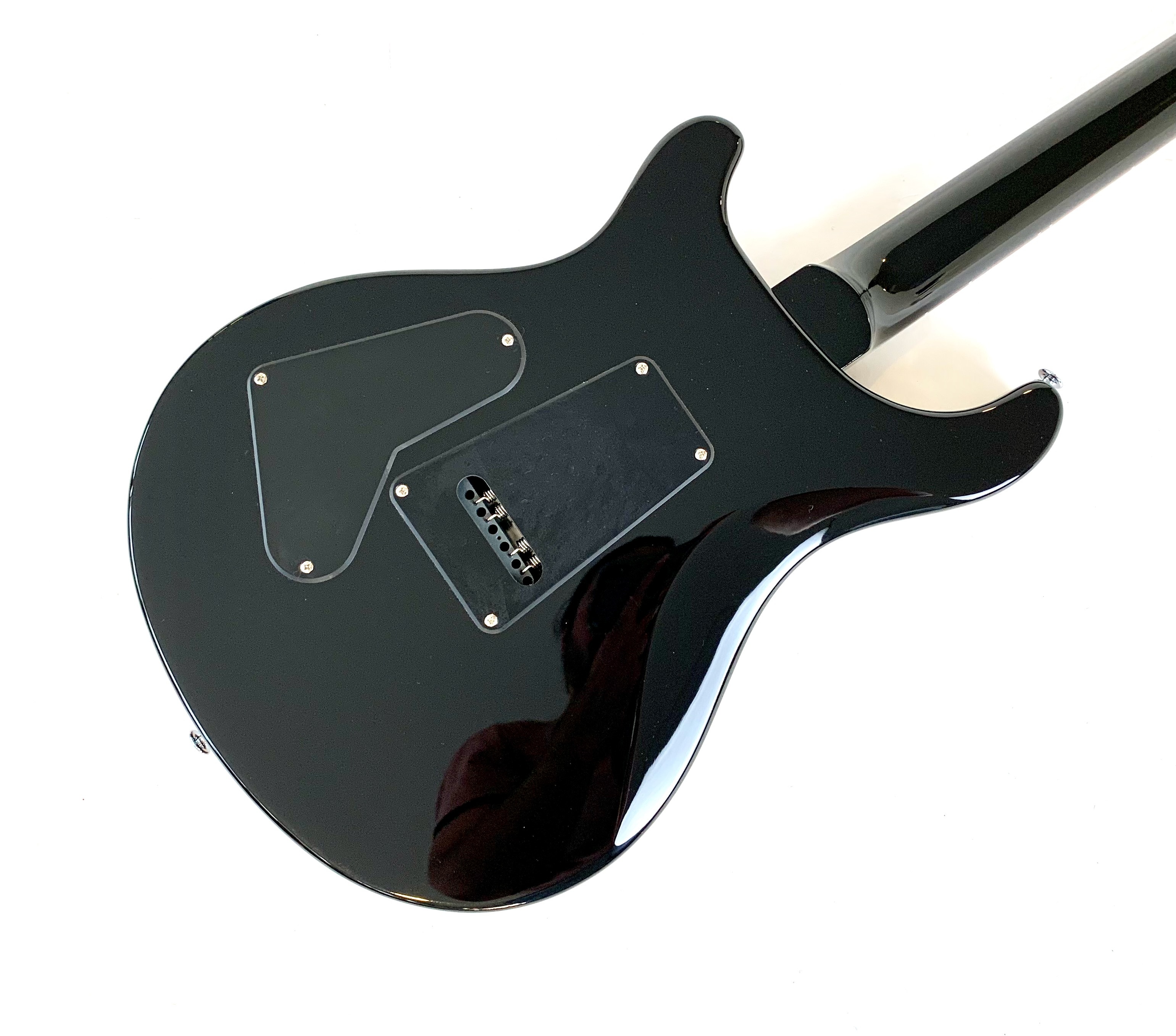 PRS SE Custom 24 (2023) (76658)