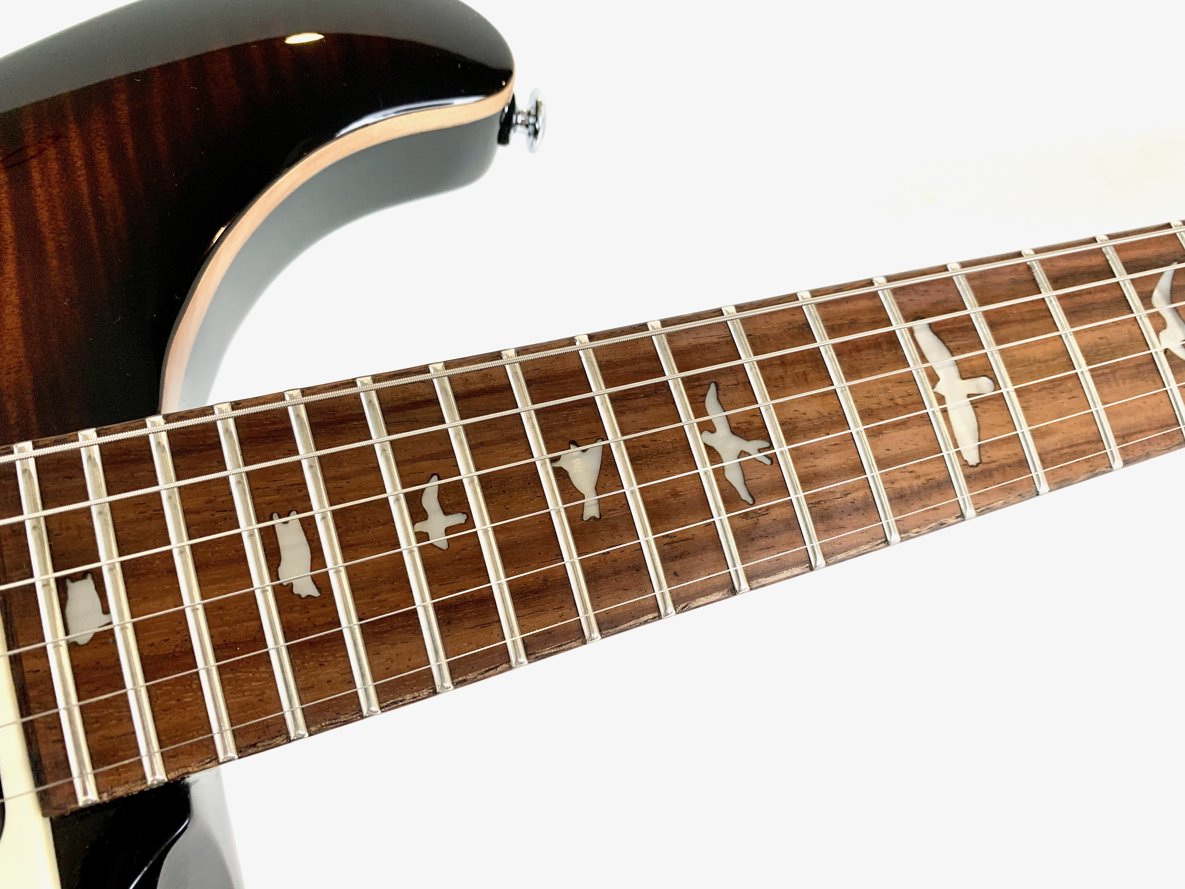 PRS SE Custom 24 (2023) (43083)