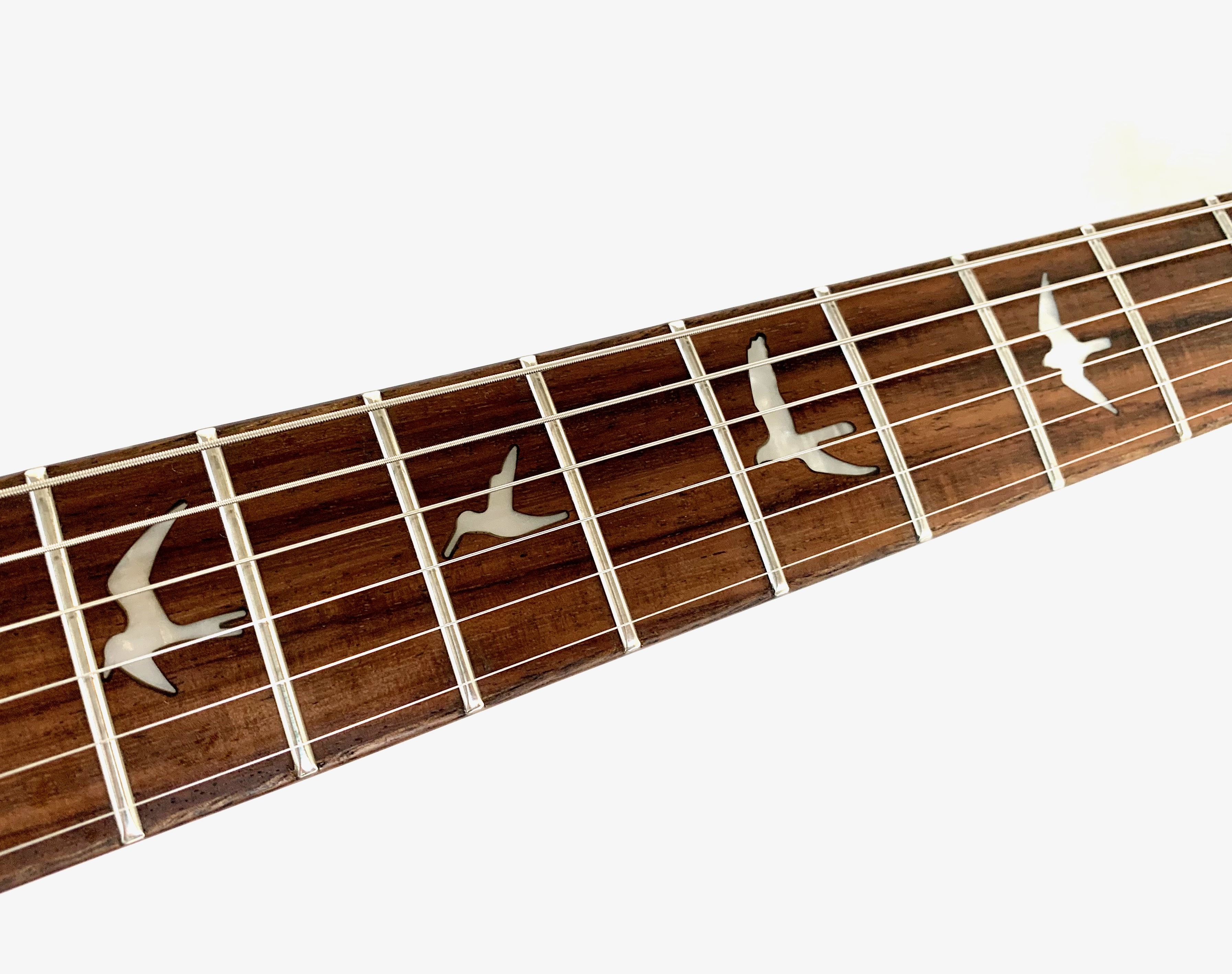 PRS SE Custom 24 (2023) (59855)