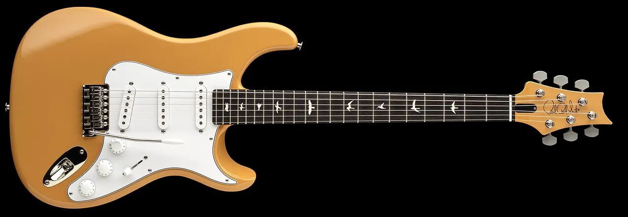 PRS Silver Sky Defender Limited Edition : Silver Sky Defender Limited Edition