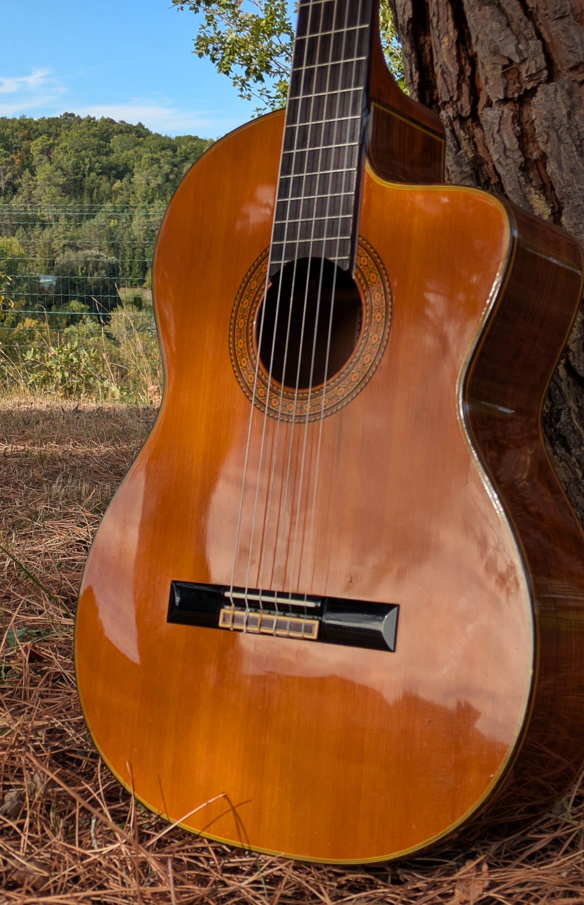 Takamine Japan Électro acoustique Nylon 1988