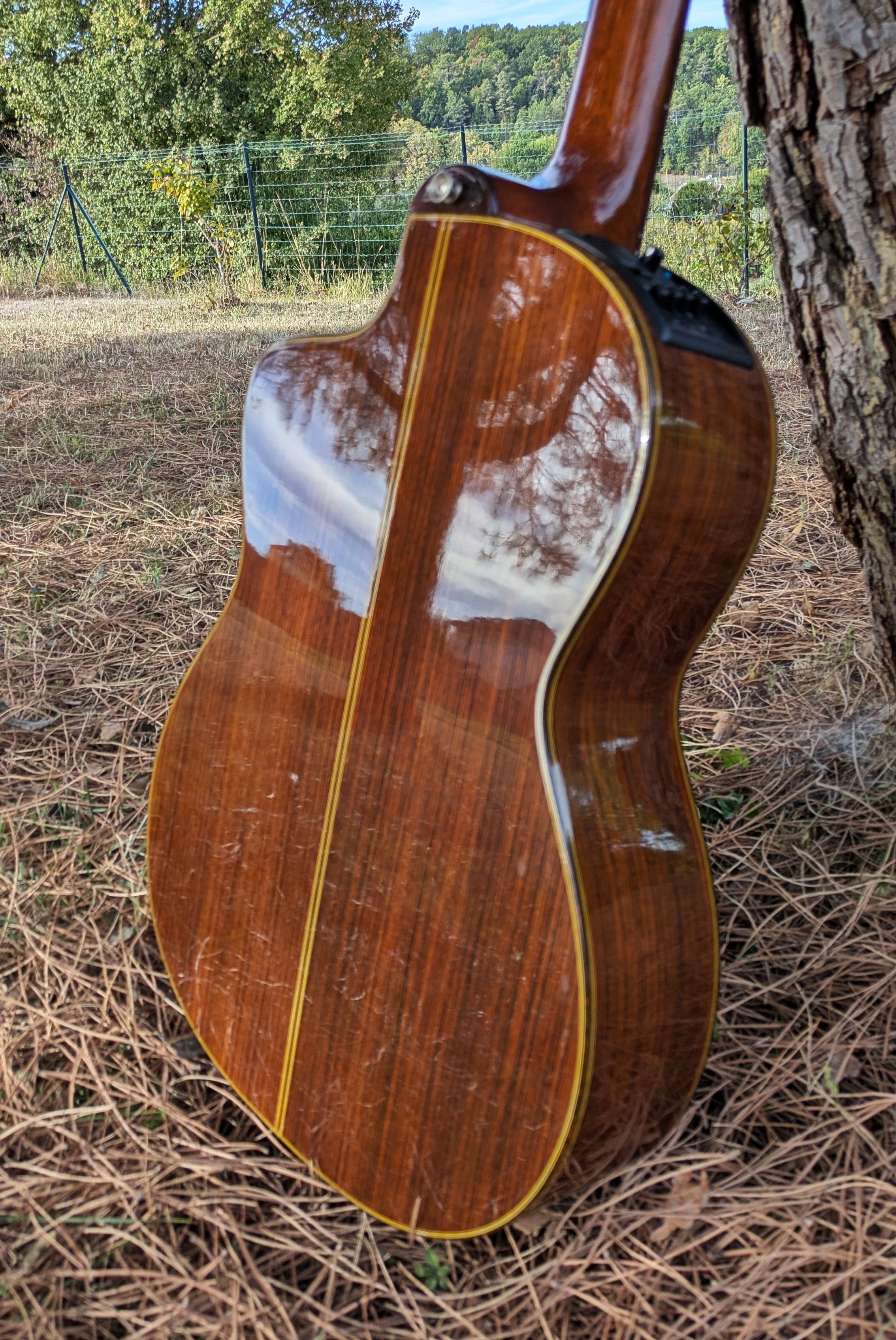 Pixlr 20260924101310450
