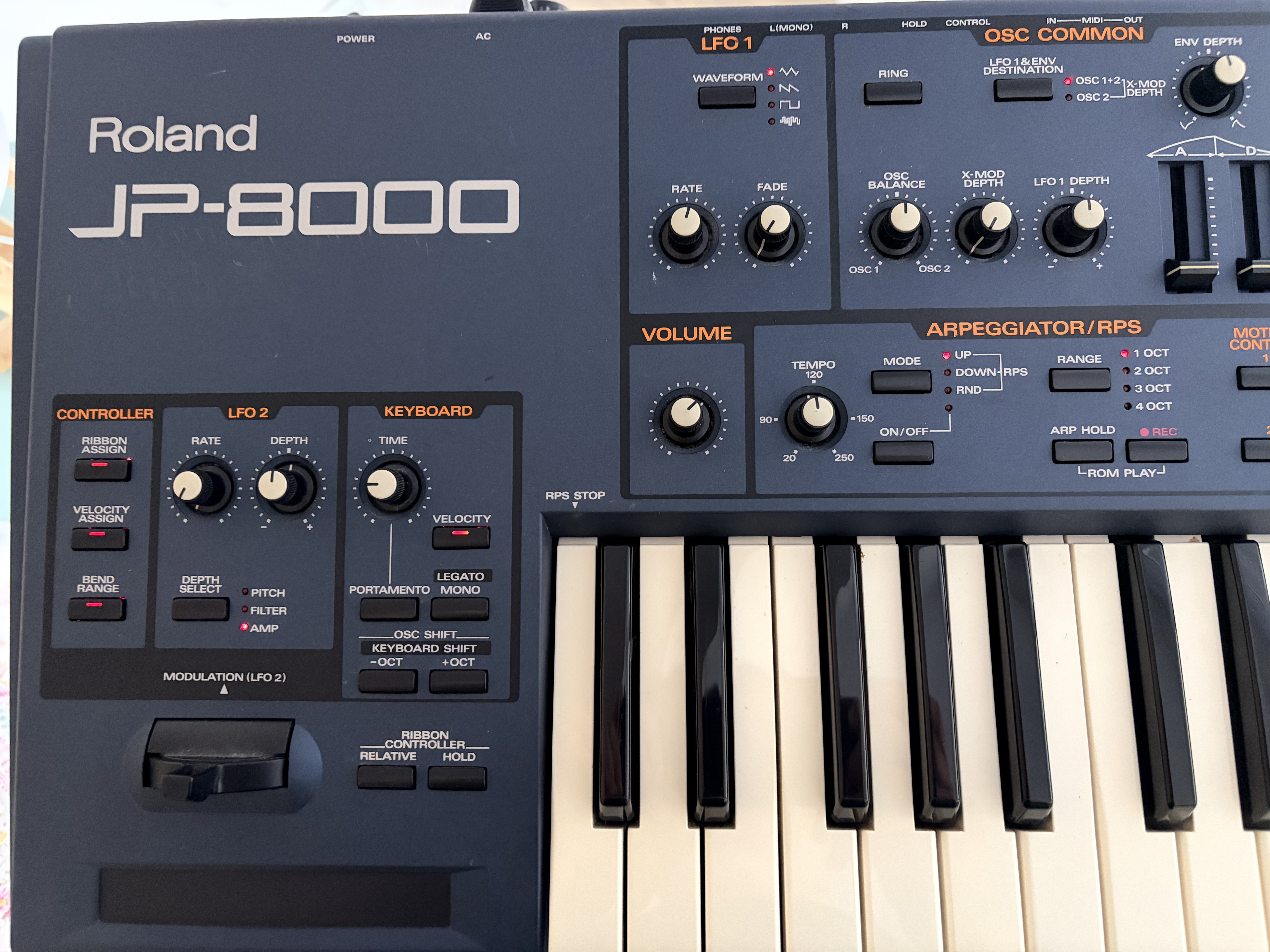 Roland JP-8000 (66160)
