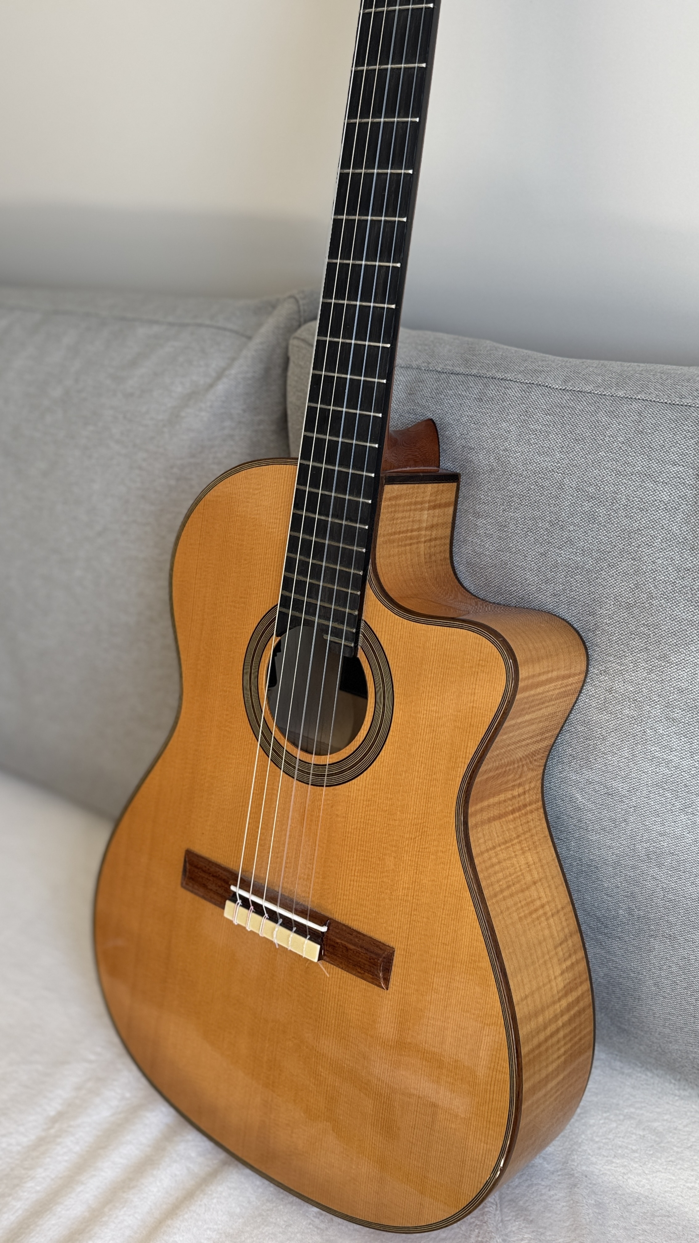 Córdoba Fusion 14 Maple – électro-classique nylon – Fishman Presys Blend + étui