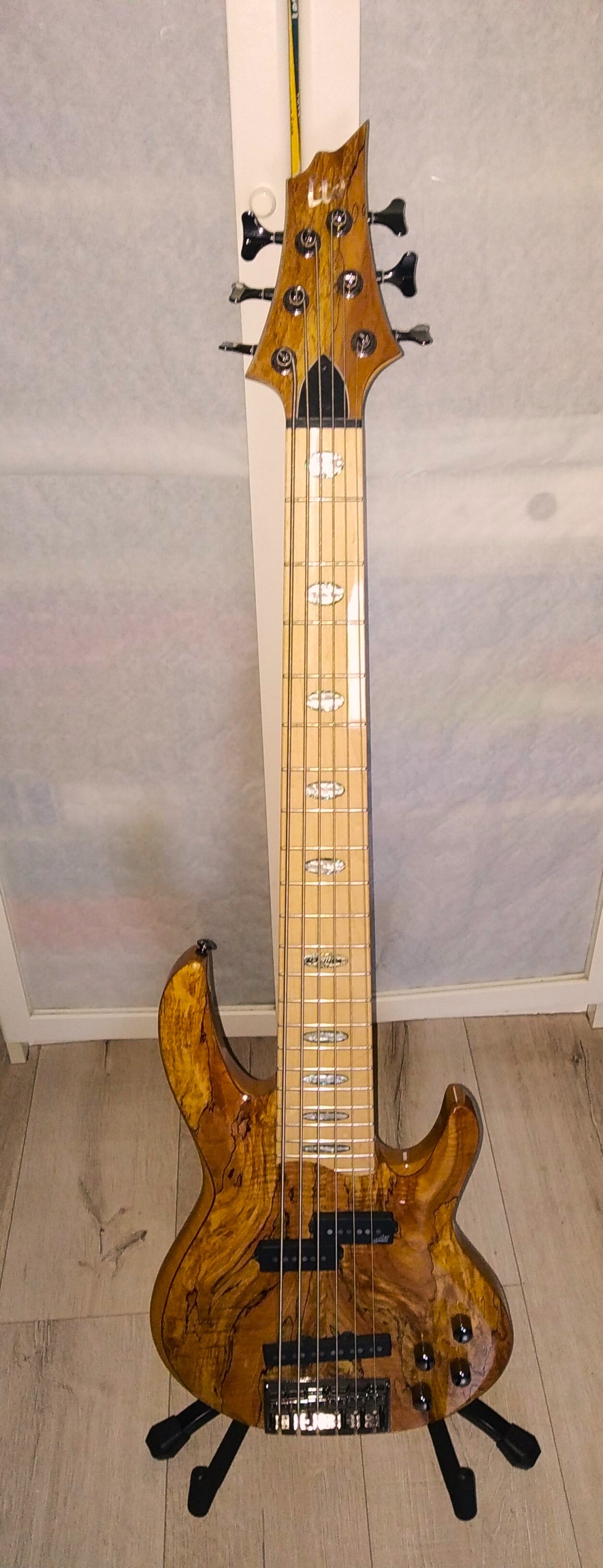 LTD RB-1006BM préampli & micros AGUILAR / 6 cordes / 2014