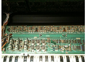 Roland JUNO-6 (64014)