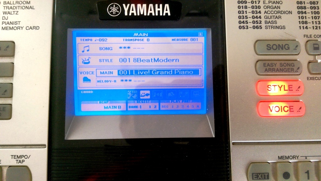 IMAG0489