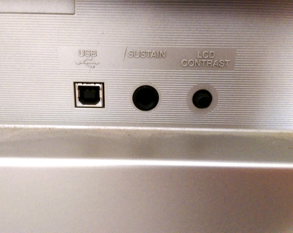 IMAG0486