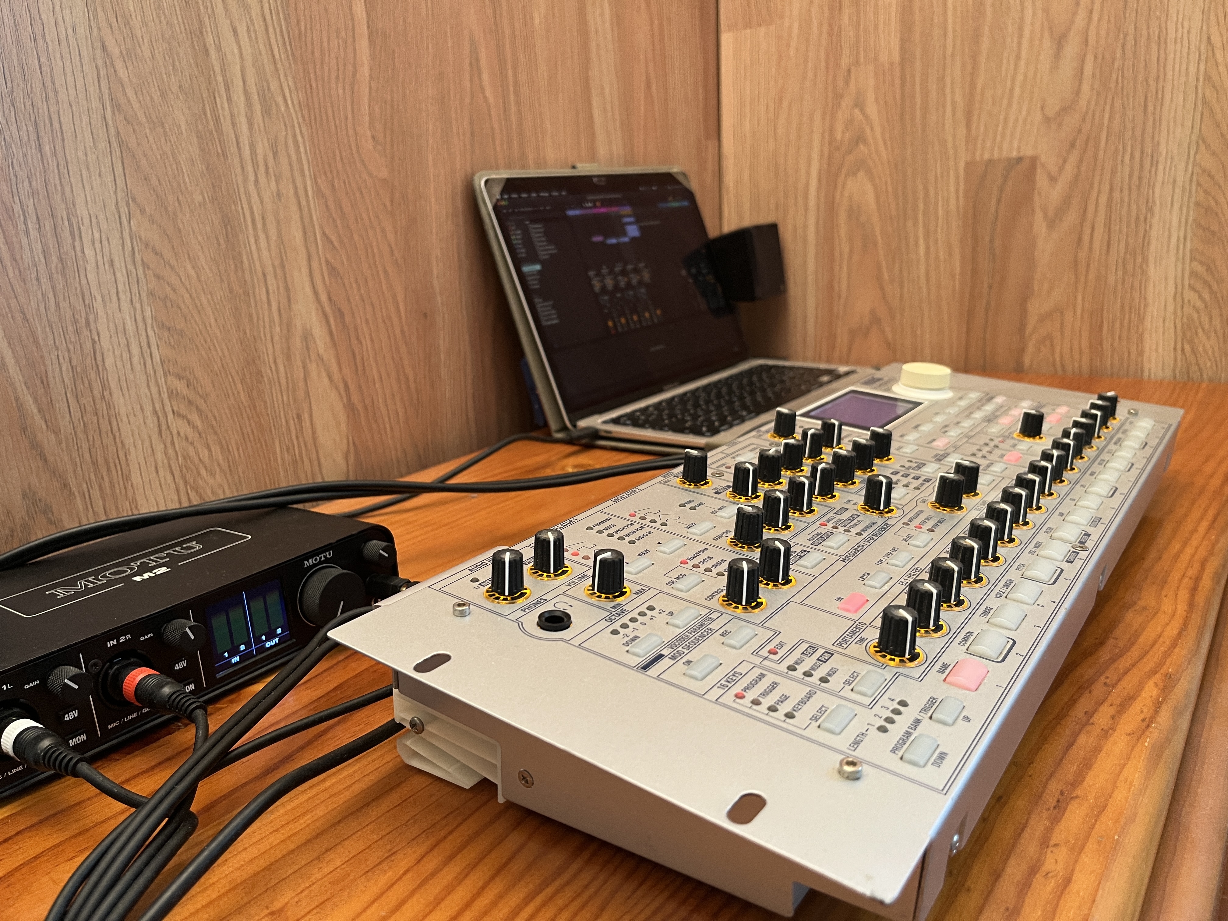 Korg Radias (13351)
