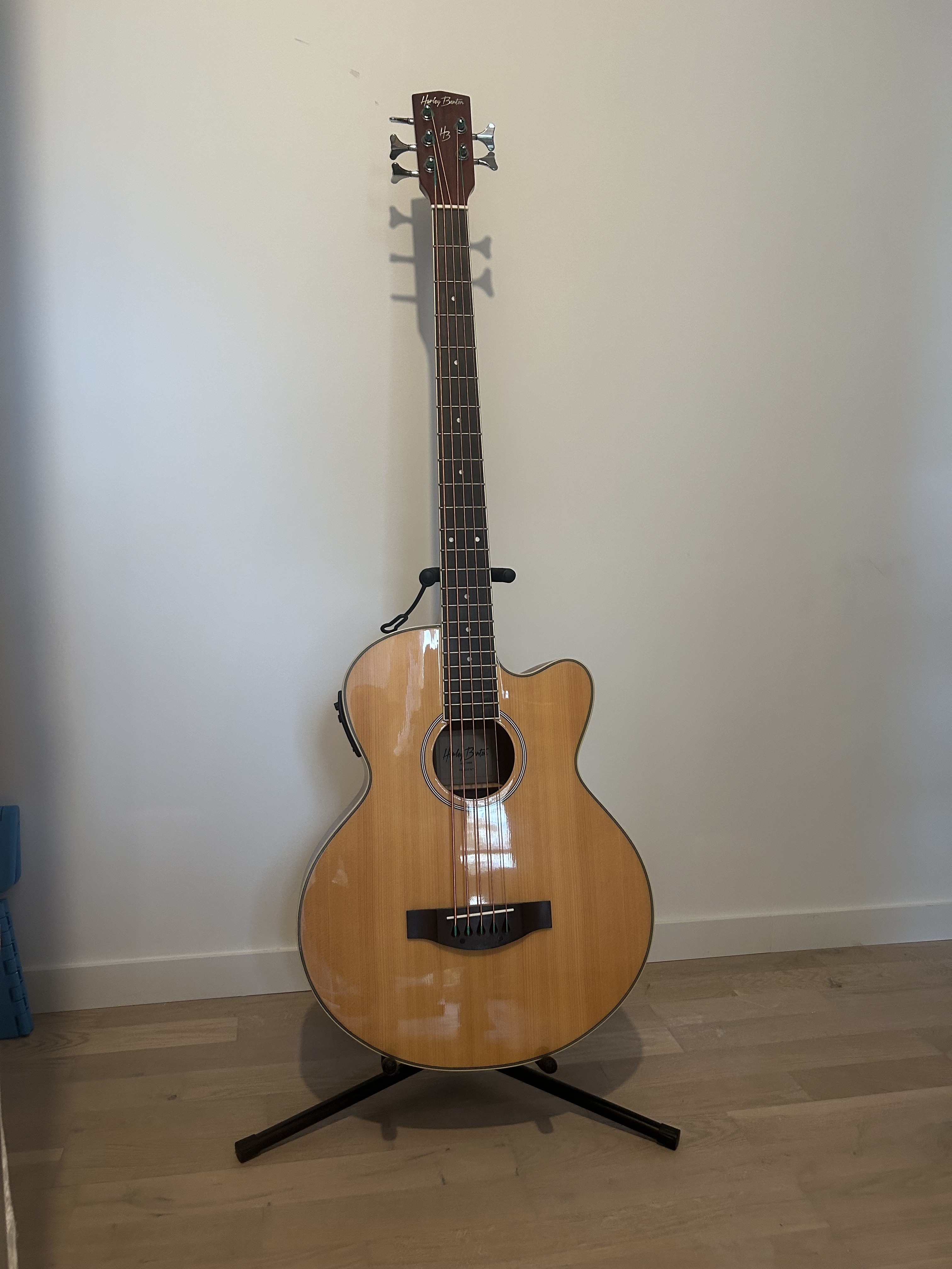 Basse accoustique 5 cordes Harley Benton B-35NT