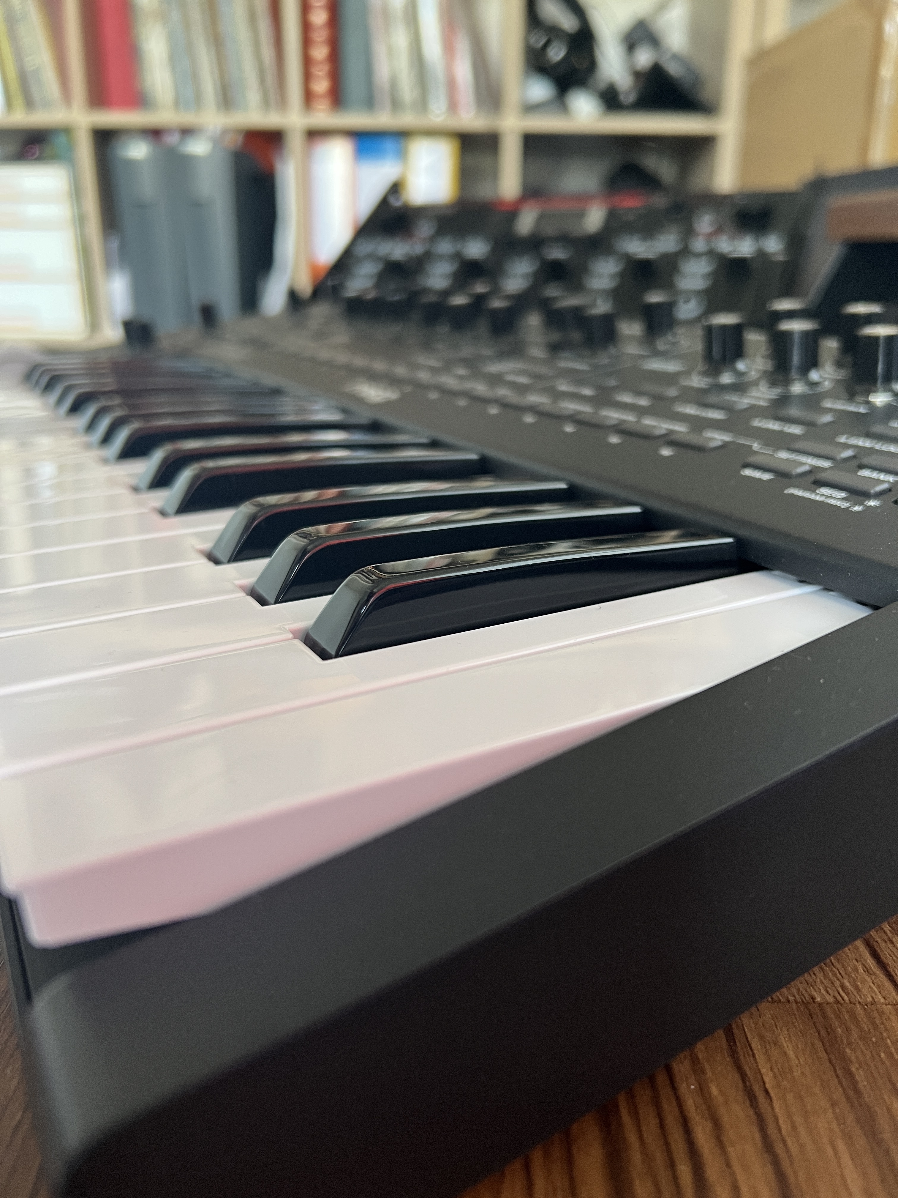 Moog Music Messenger (47777)