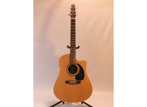 Seagull Performer CW Cedar GT Quantum