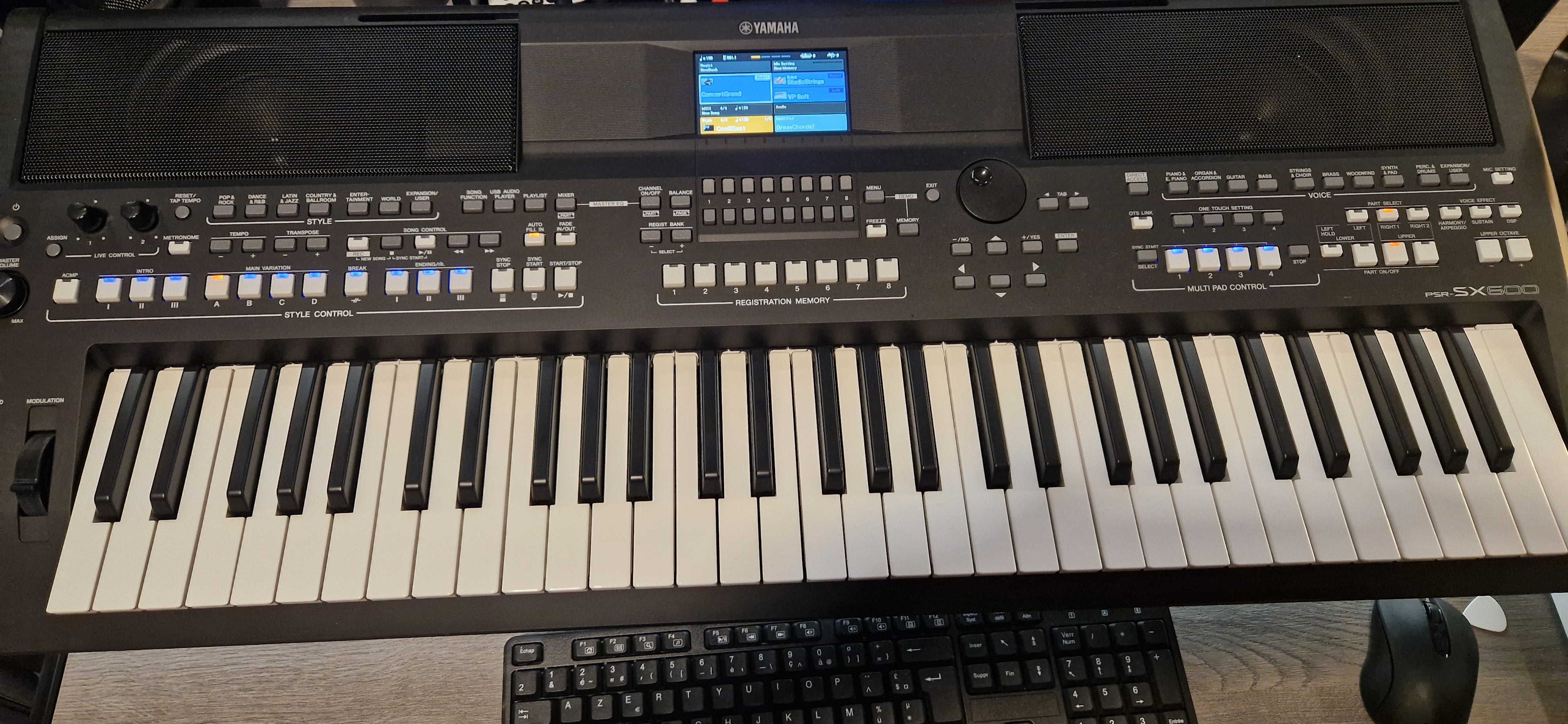Vends PSR-SX600 