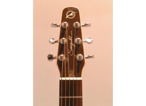Seagull Performer CW Cedar GT Quantum