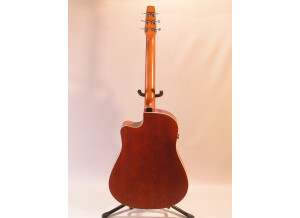 Seagull Performer CW Cedar GT Quantum
