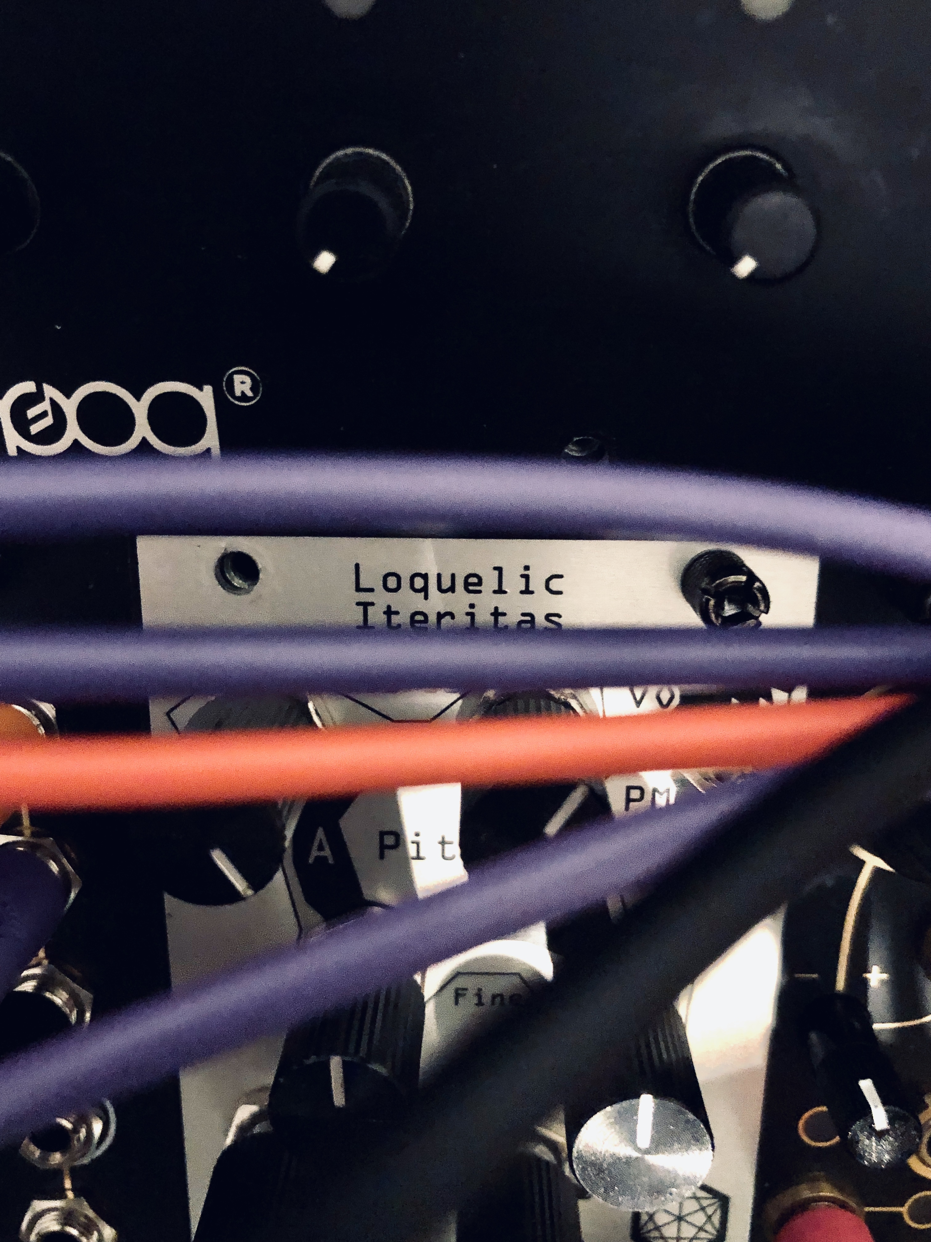 Noise Engineering Loquelic Iteritas (10956)