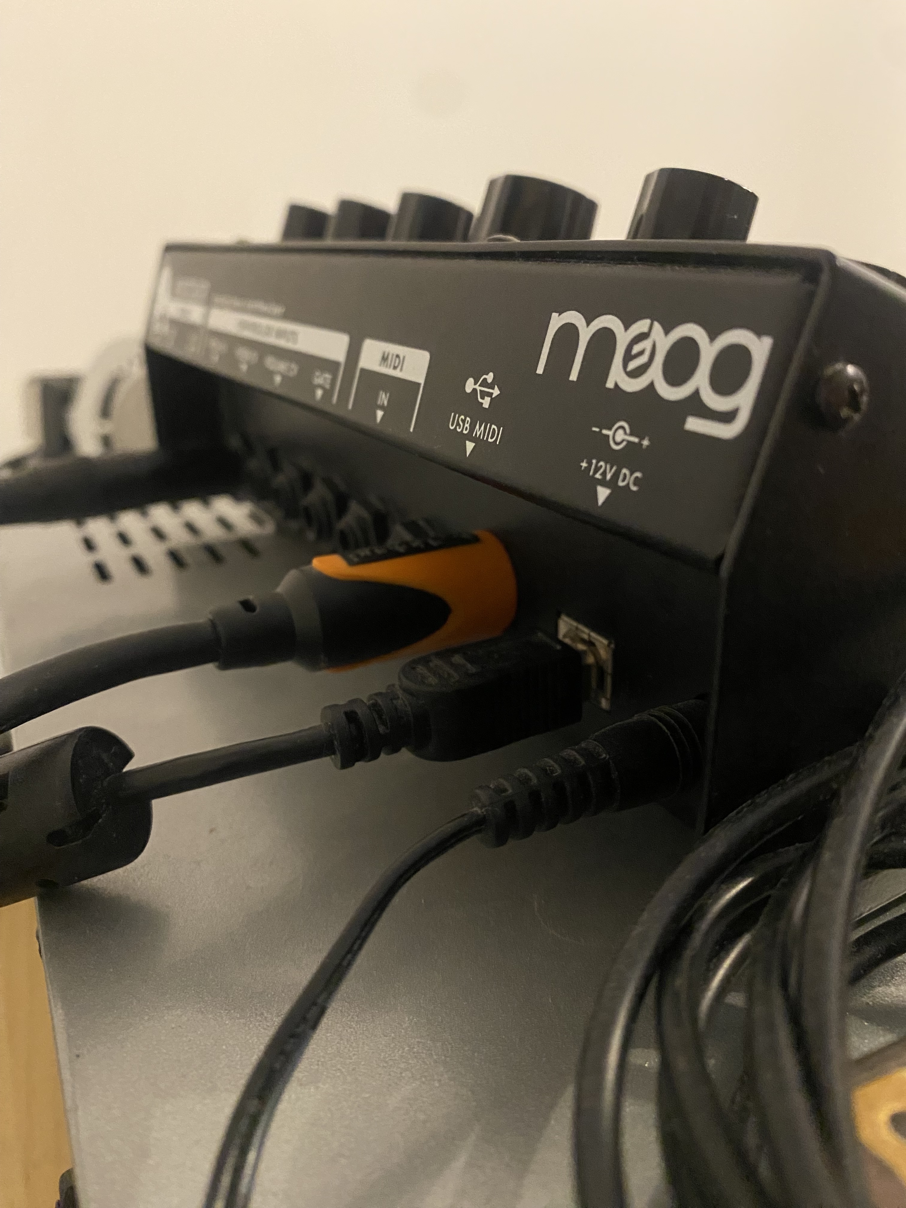Moog Music Minitaur (6074)