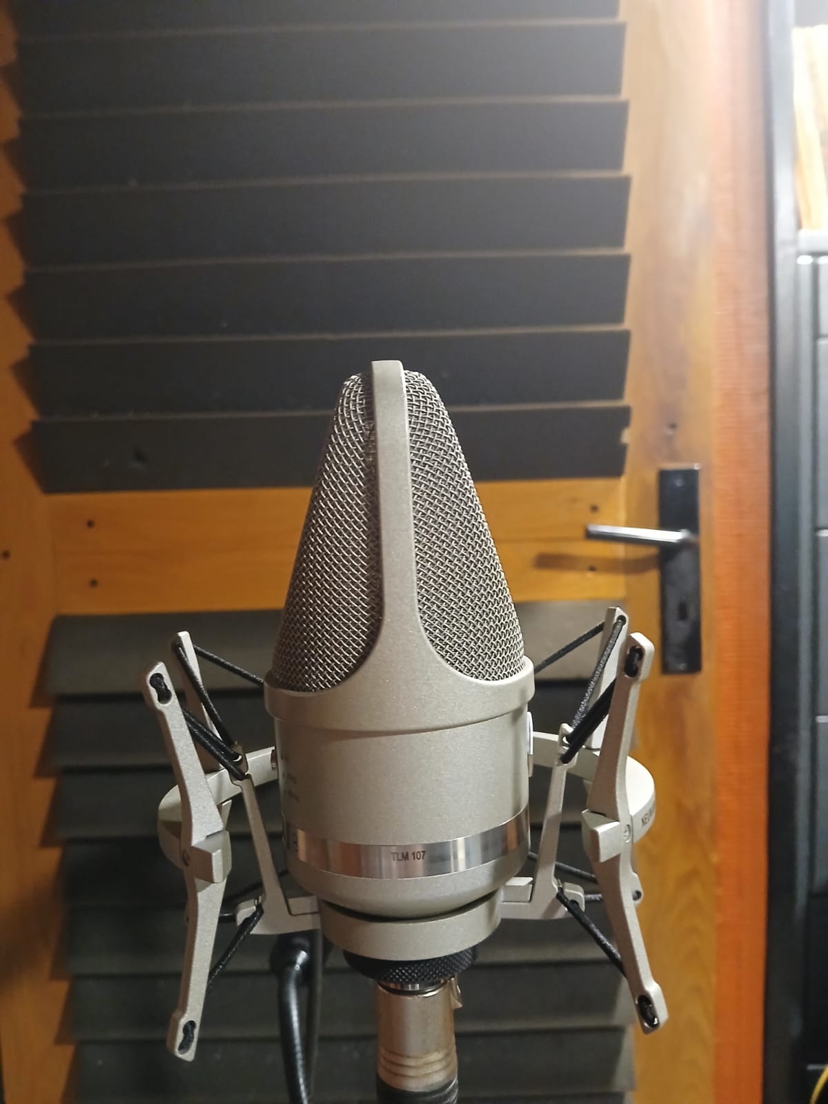 Neumann TLM 107 (23848)