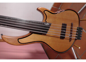 Leduc U-Bass 5 cordes fretless (88495)