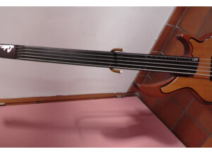 Leduc U-Bass 5 cordes fretless (33339)