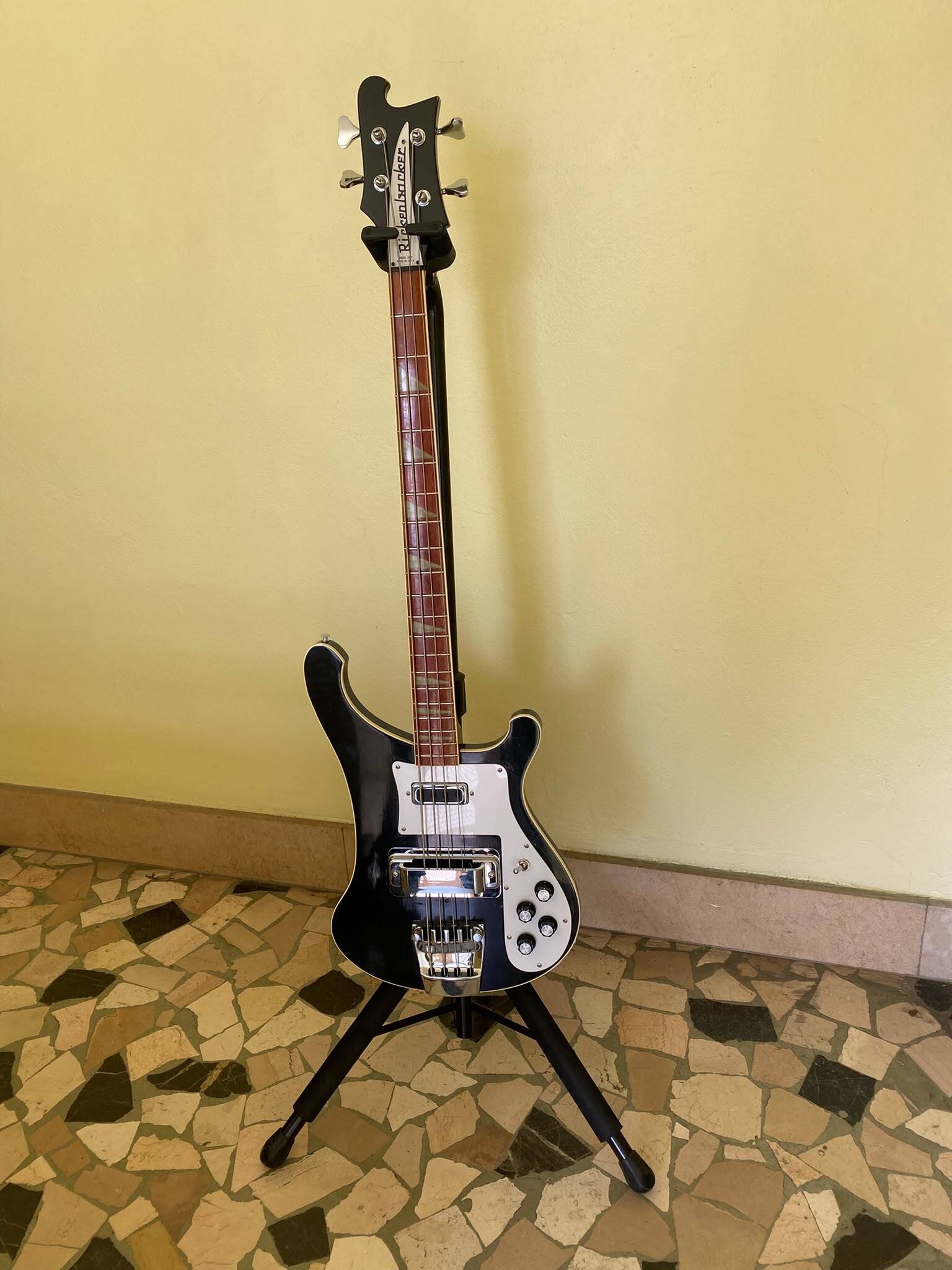 Rickenbacker 2