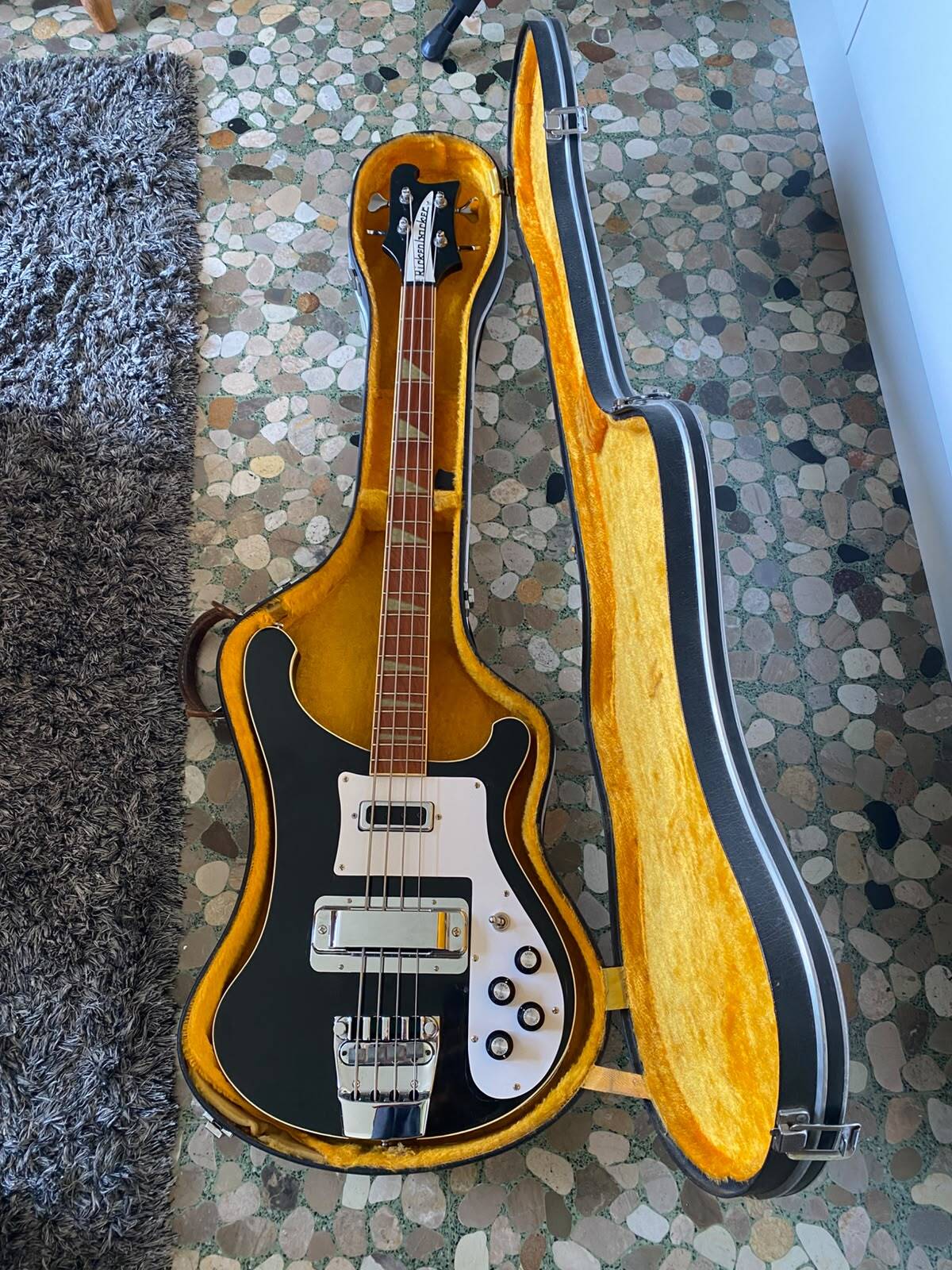 Rickenbacker 10
