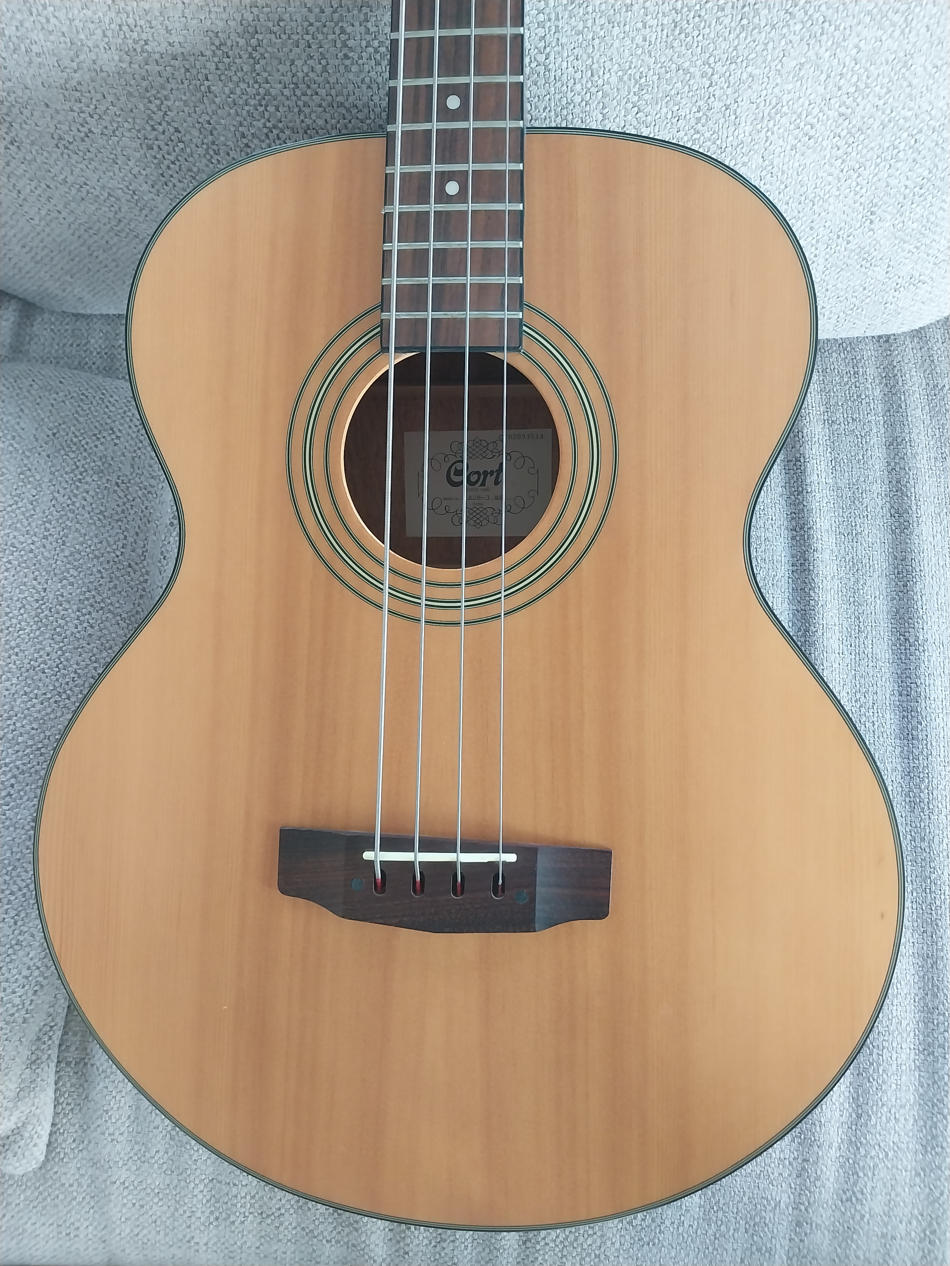 Cort SJB3 (6531)