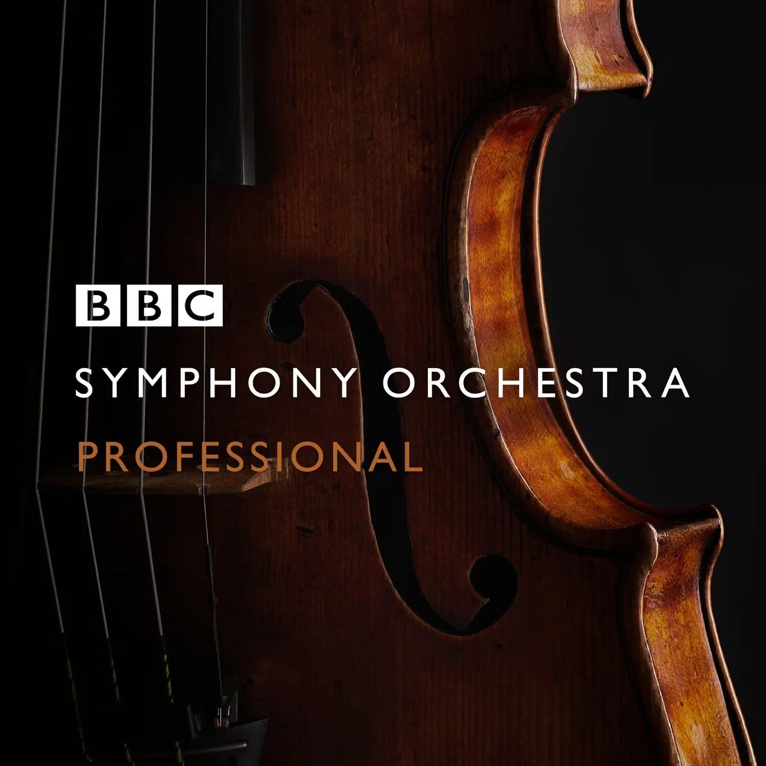 BBC Symphony Orchestra Professional - avec Aperture