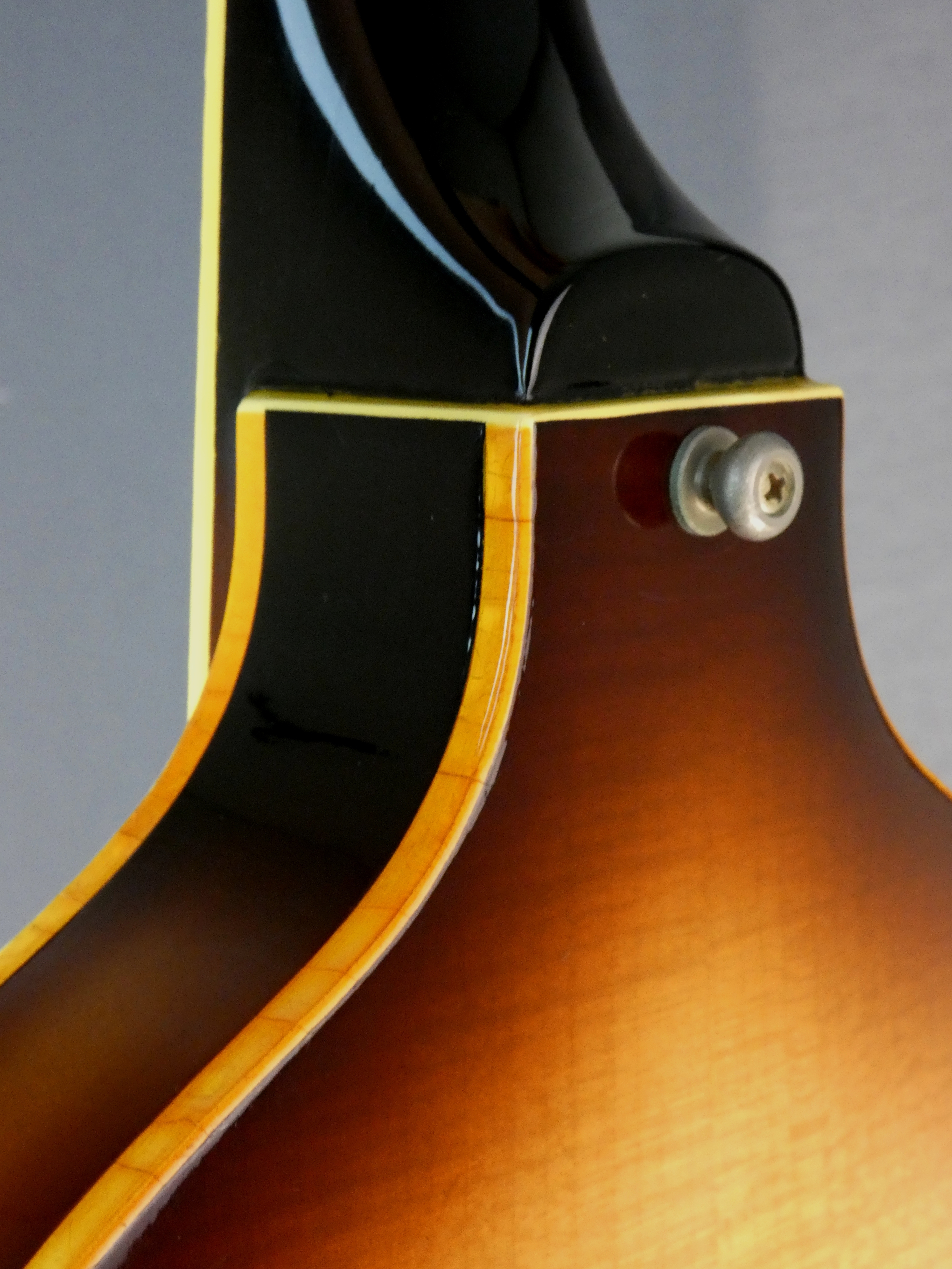 greco violin bass  vb500 vb-500 sunburst japon japan (9)