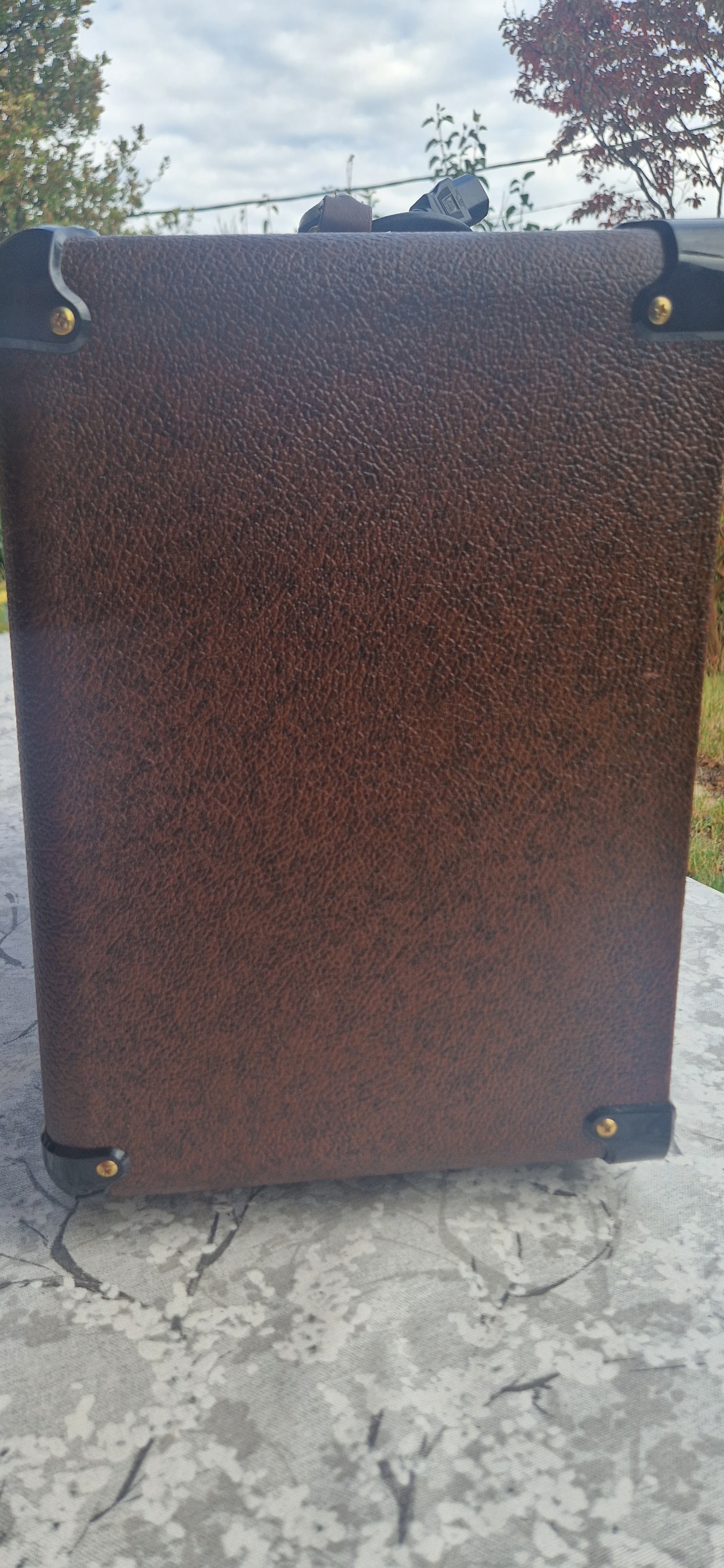 Marshall AS50R droit
