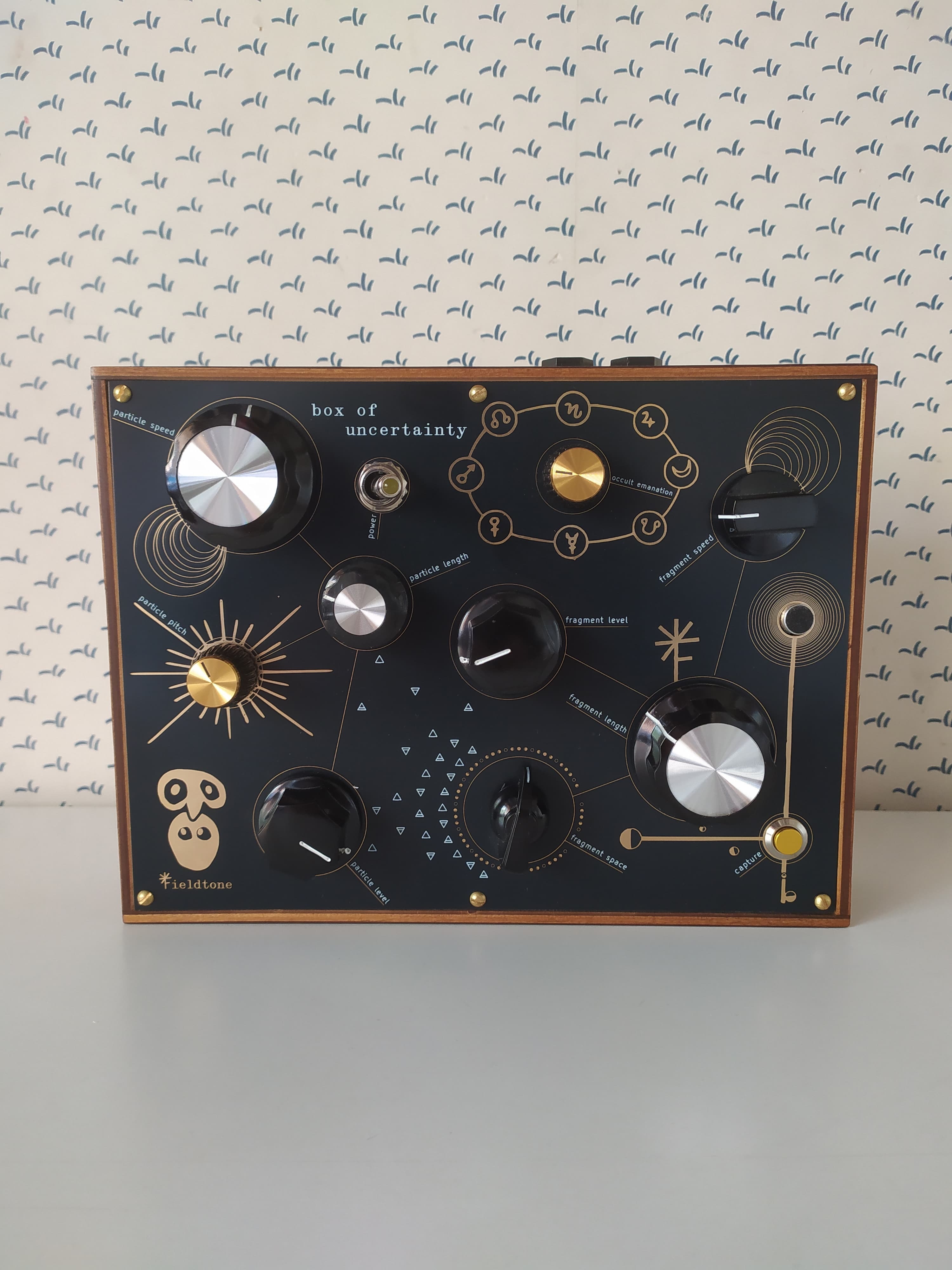 Fieldtone Box of Uncertainty (neuf) sampler granulaire rare