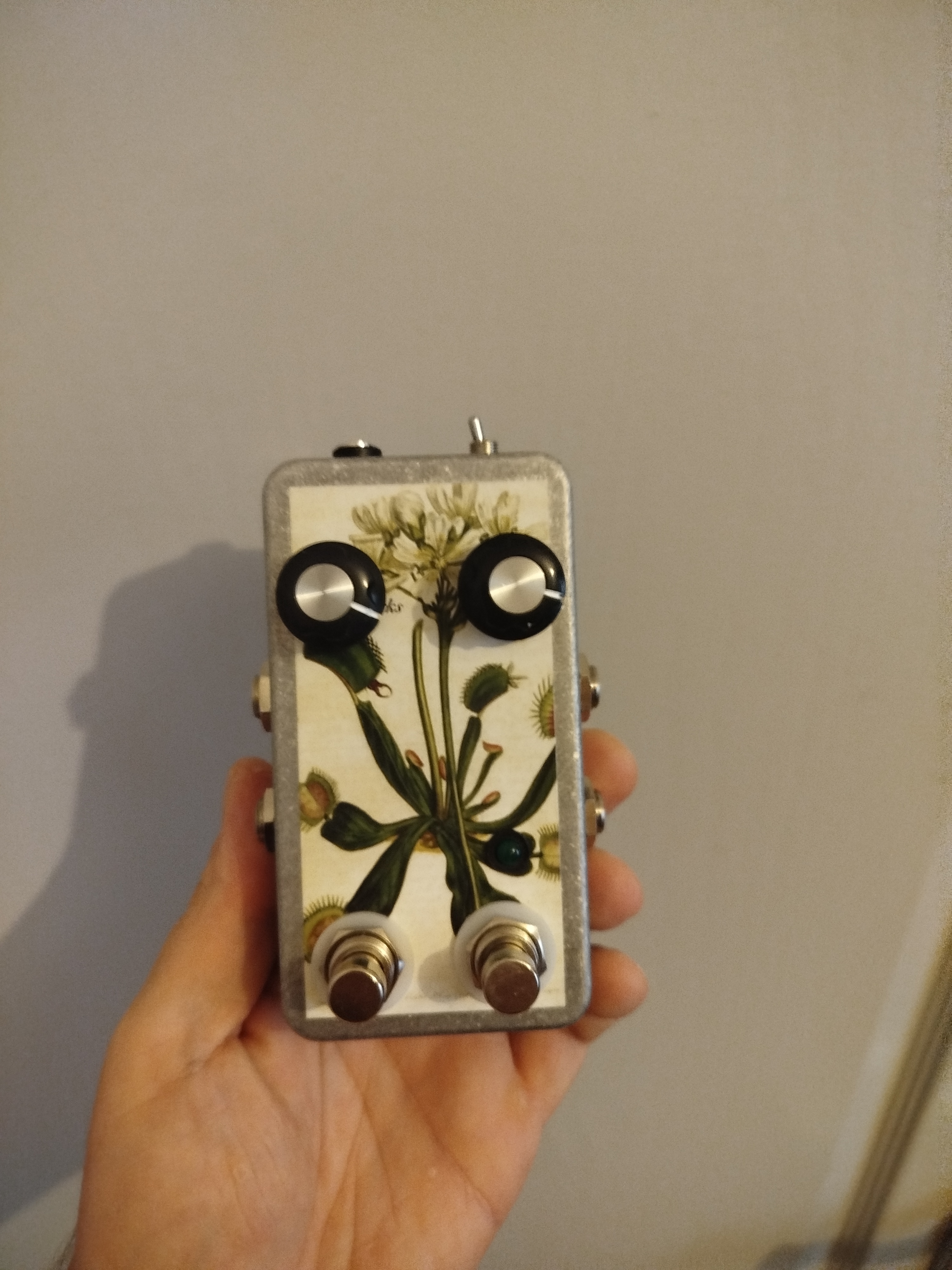 Saturnworks deluxe momentary feedback looper