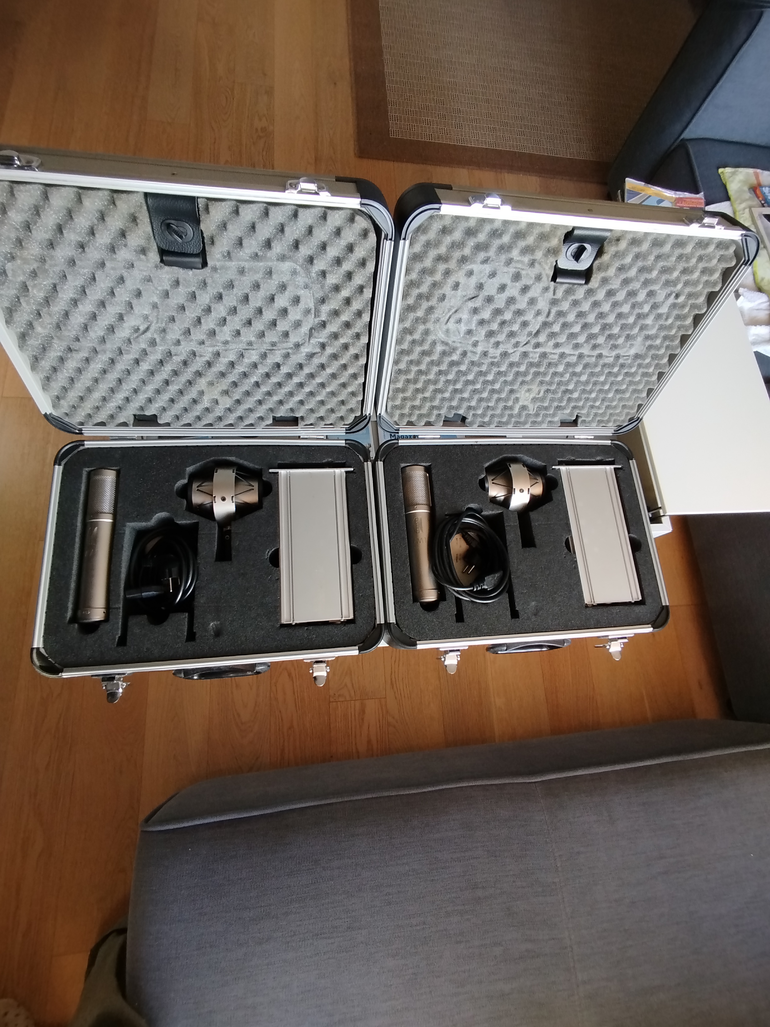 VENDS COUPLE DE MICROPHONES APPAIRéS BRAUNER VM1