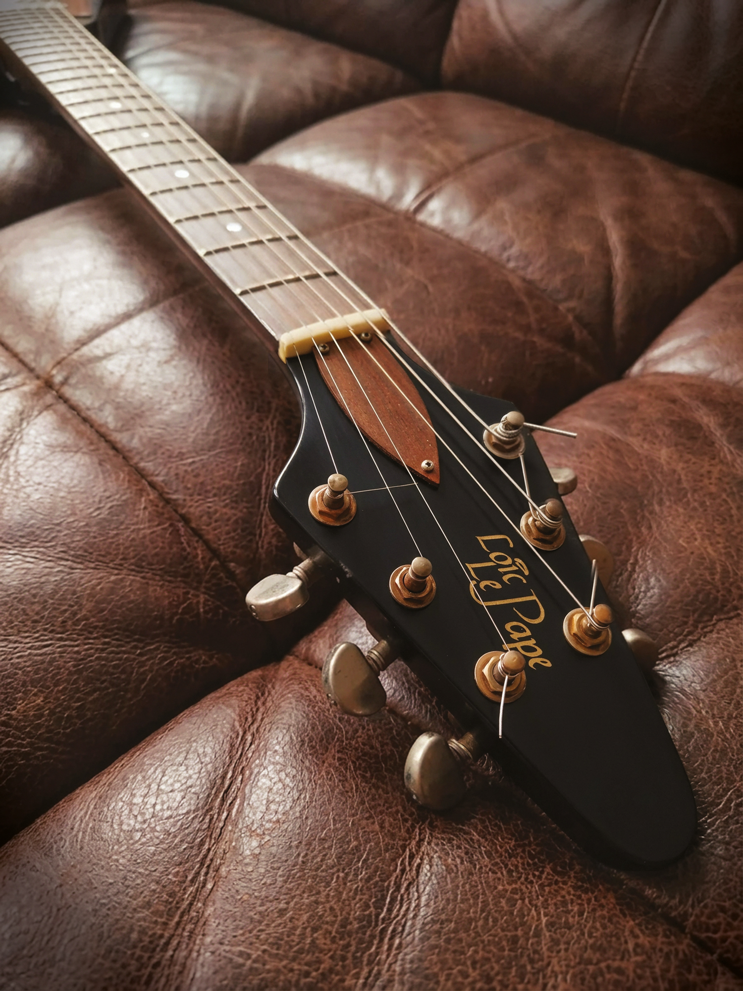 Guitare Luthier Loïc Le Pape - Flying V Custom Black & Bronze (2017)