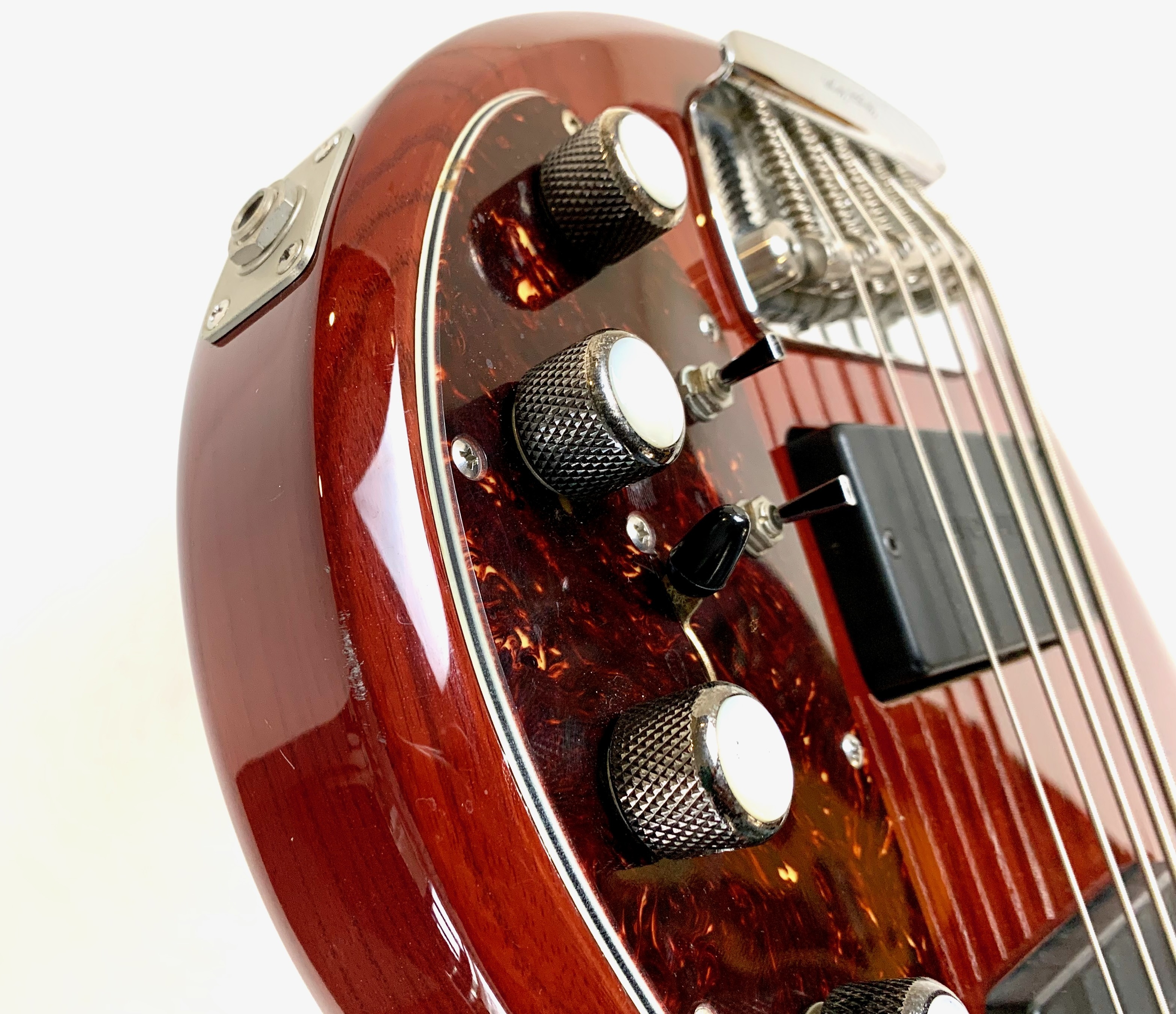 Music Man StingRay 5 Fretless (21790)