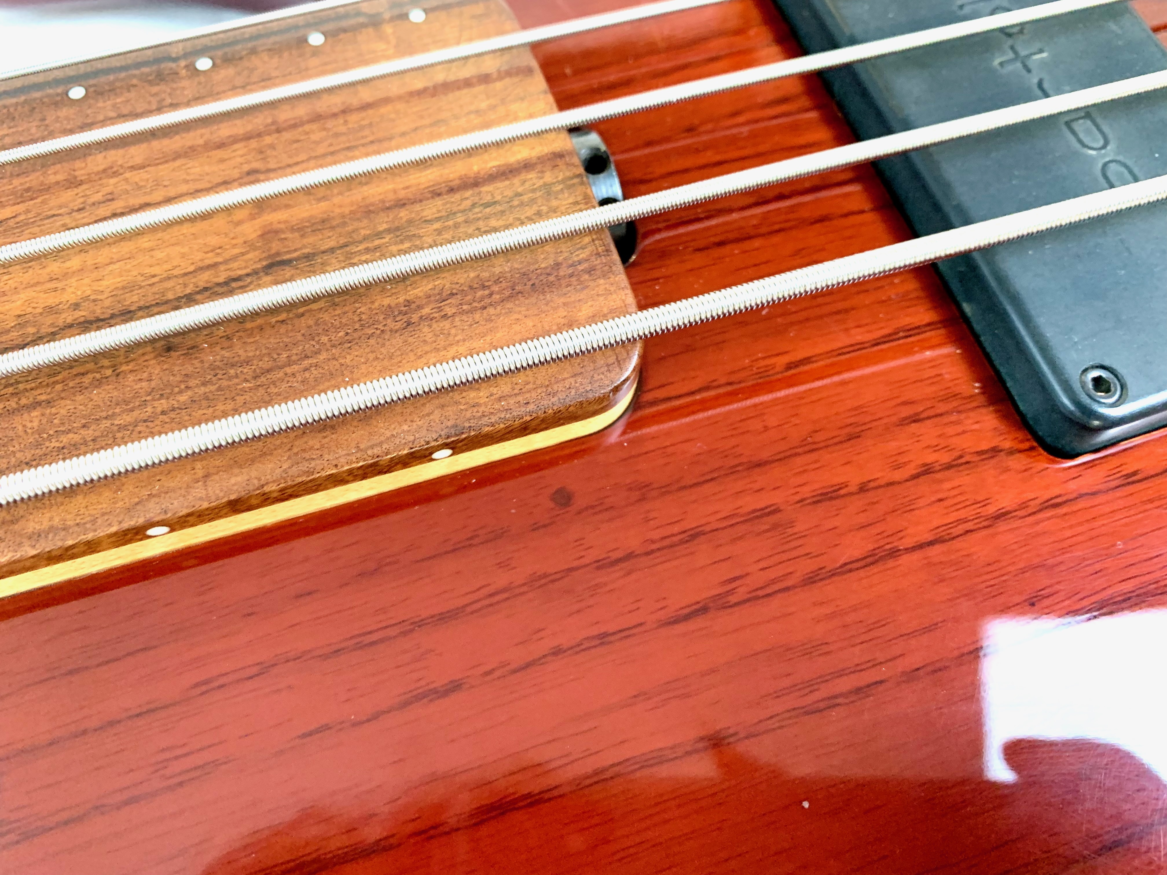 Music Man StingRay 5 Fretless (65449)