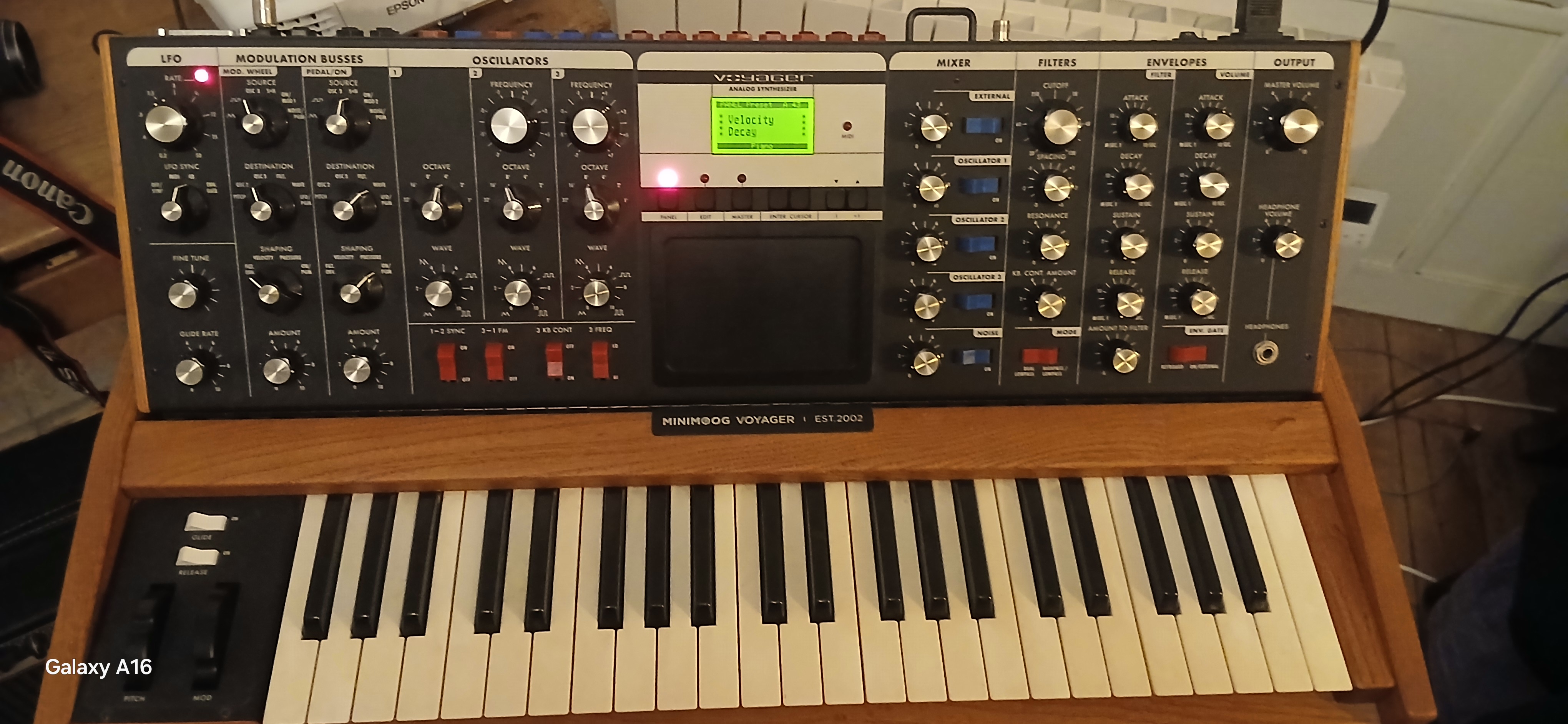 Vends Minimoog Voyager - 2002 Est Vintage