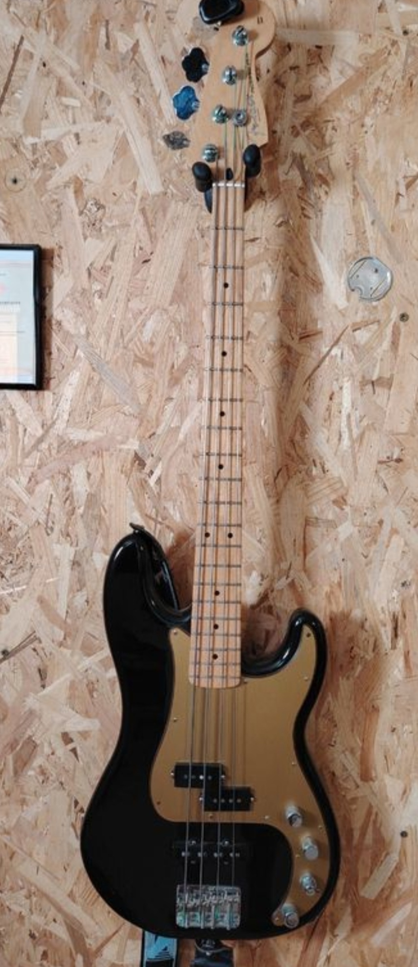 Fender Special Edition Precision Bass  (51901)