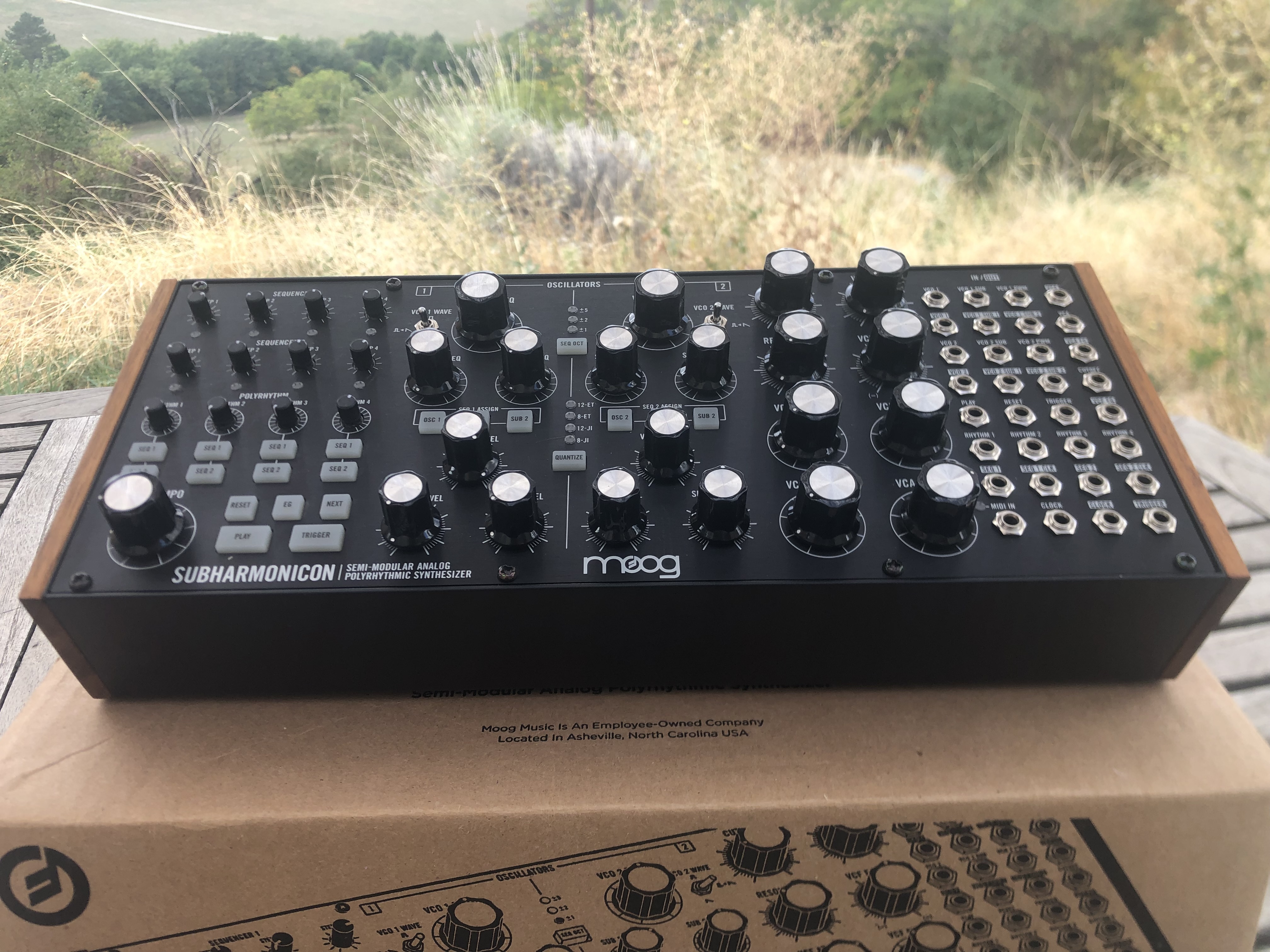 Moog Subharmonicon excellent état 