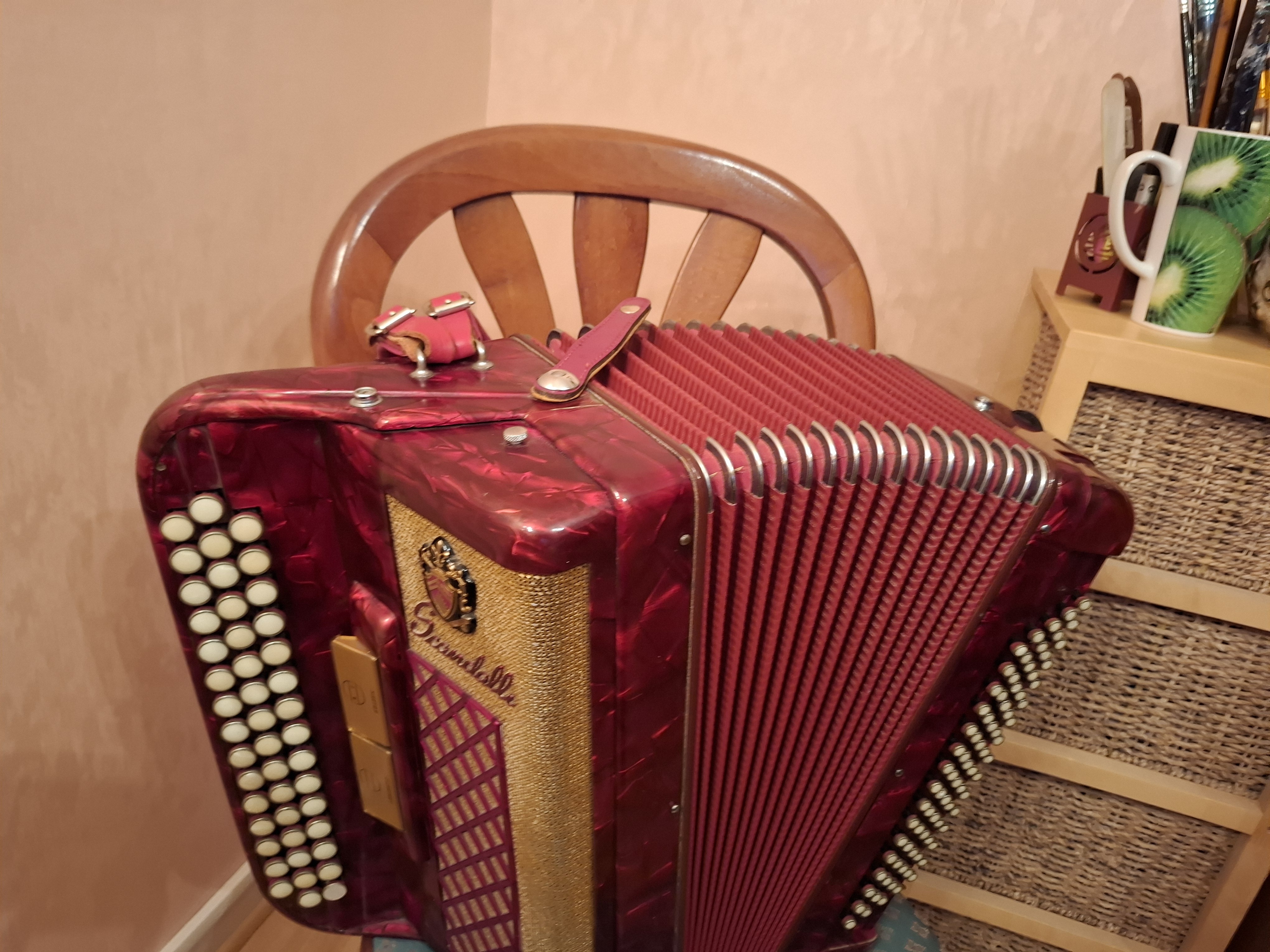 Vends Accordéon Scandalli 