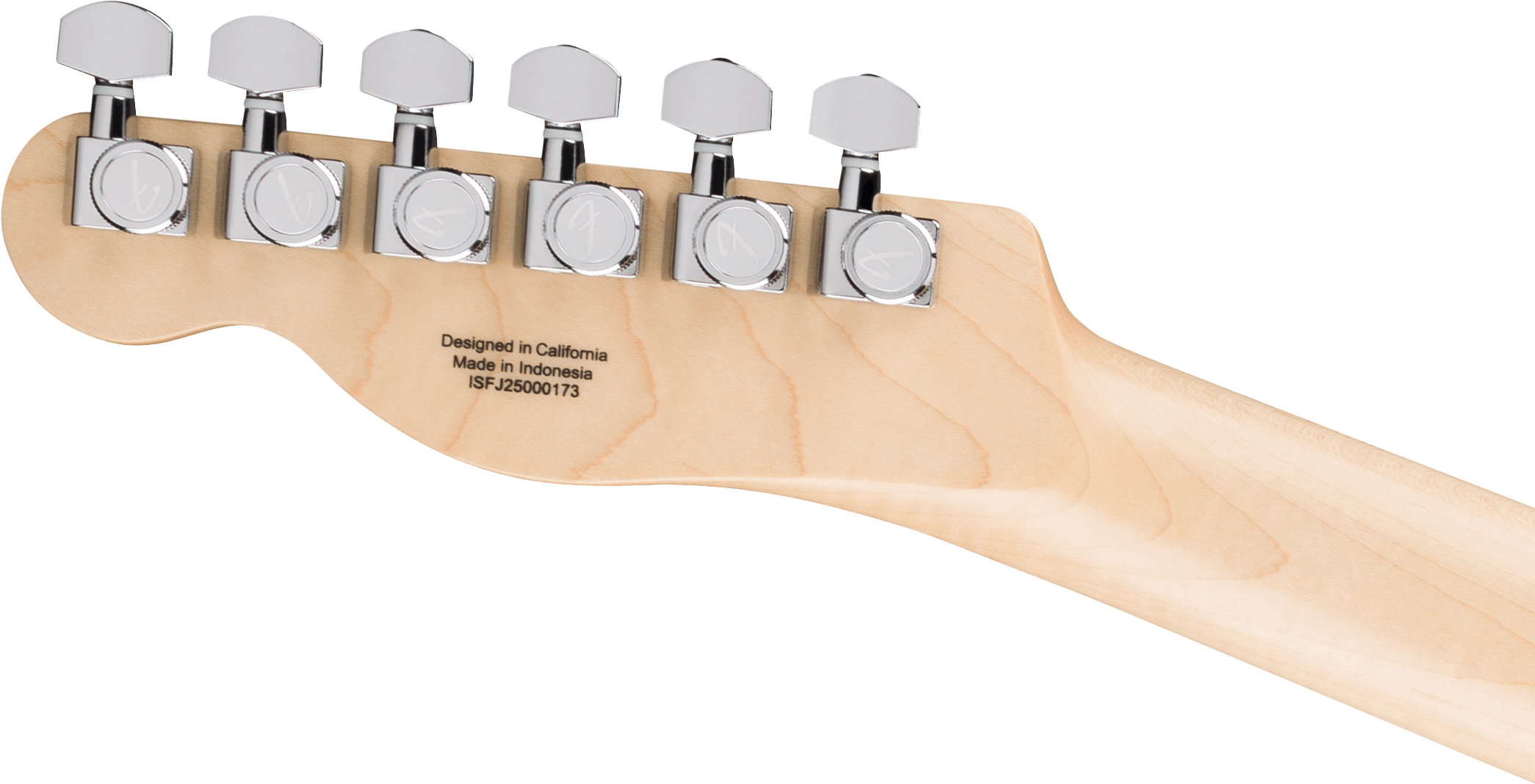 Fender John 5 Ghost Telecaster : John 5 Ghost TelecasterBackHead