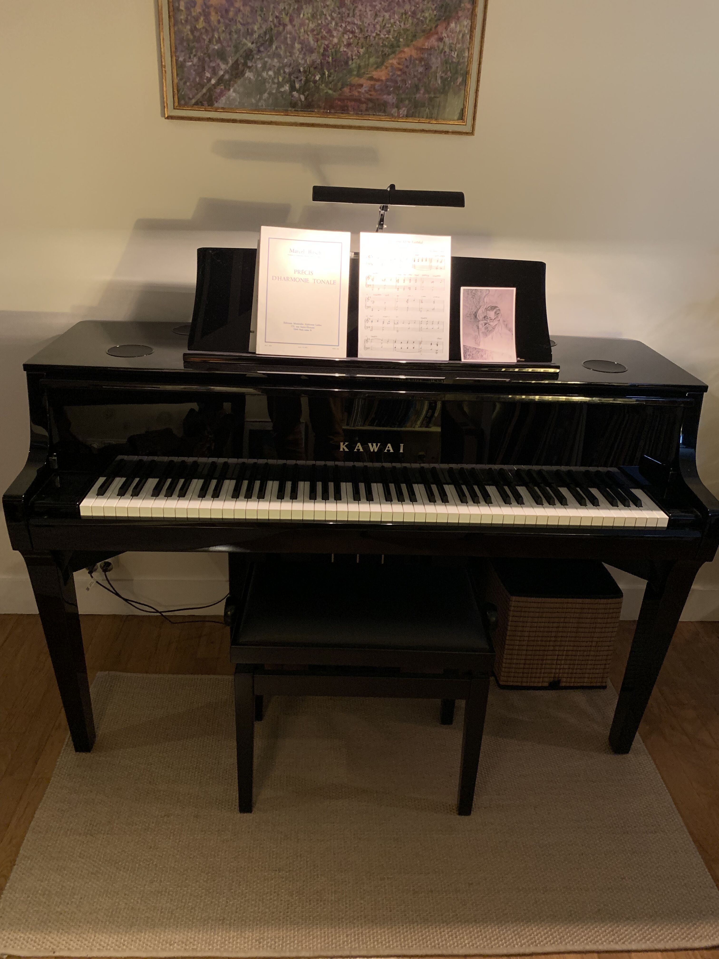 Kawai Novus NV10 – piano hybride, excellent état