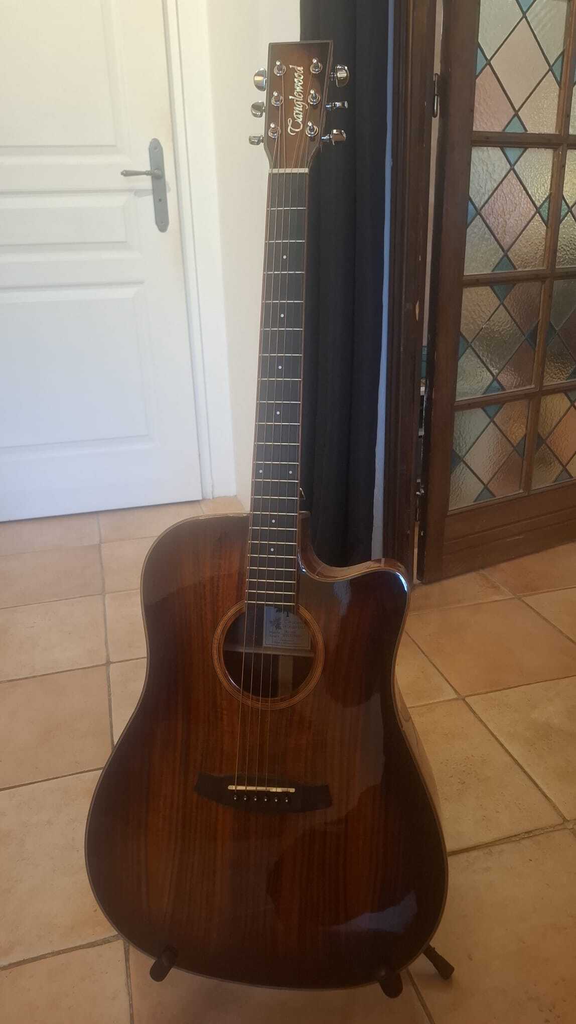 Vends Guitare électro-acoustique TANGLEWOOD Winterleaf