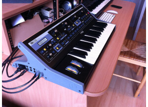 Moog Music Little Phatty Stage Edition (74876)