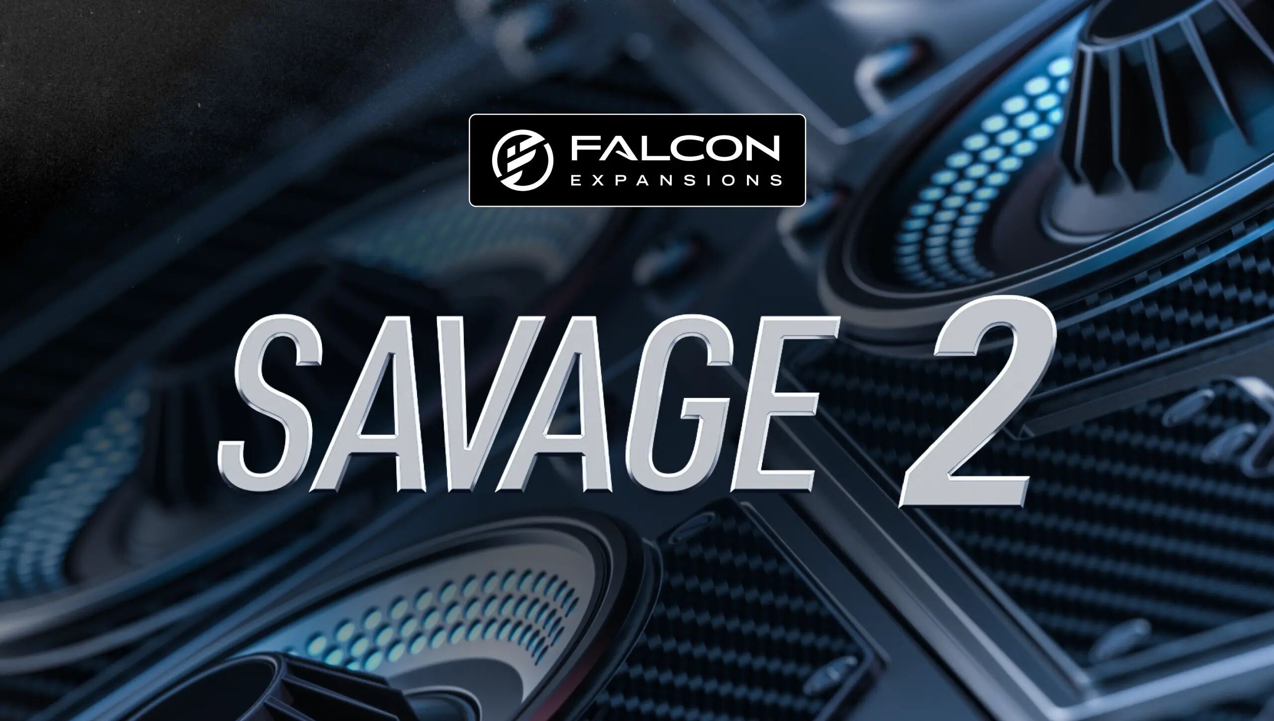 Savage 2