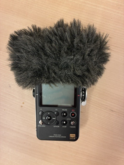 Sony PCM-D100 (59059)